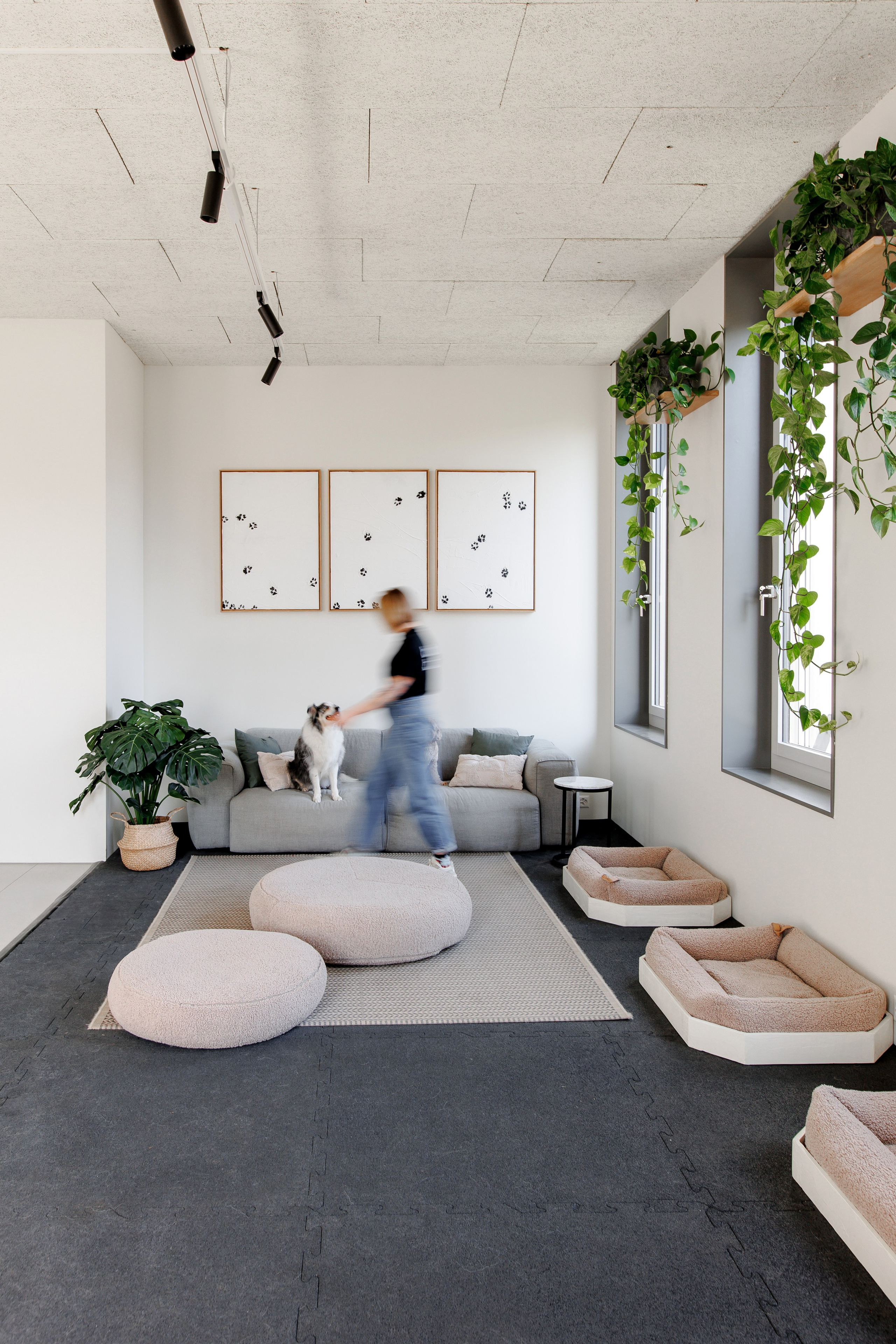 Bark & Bones. Familien- & Hochzeitsfotografin Schweiz. Valeria Diaz in Zürich und Umgebung