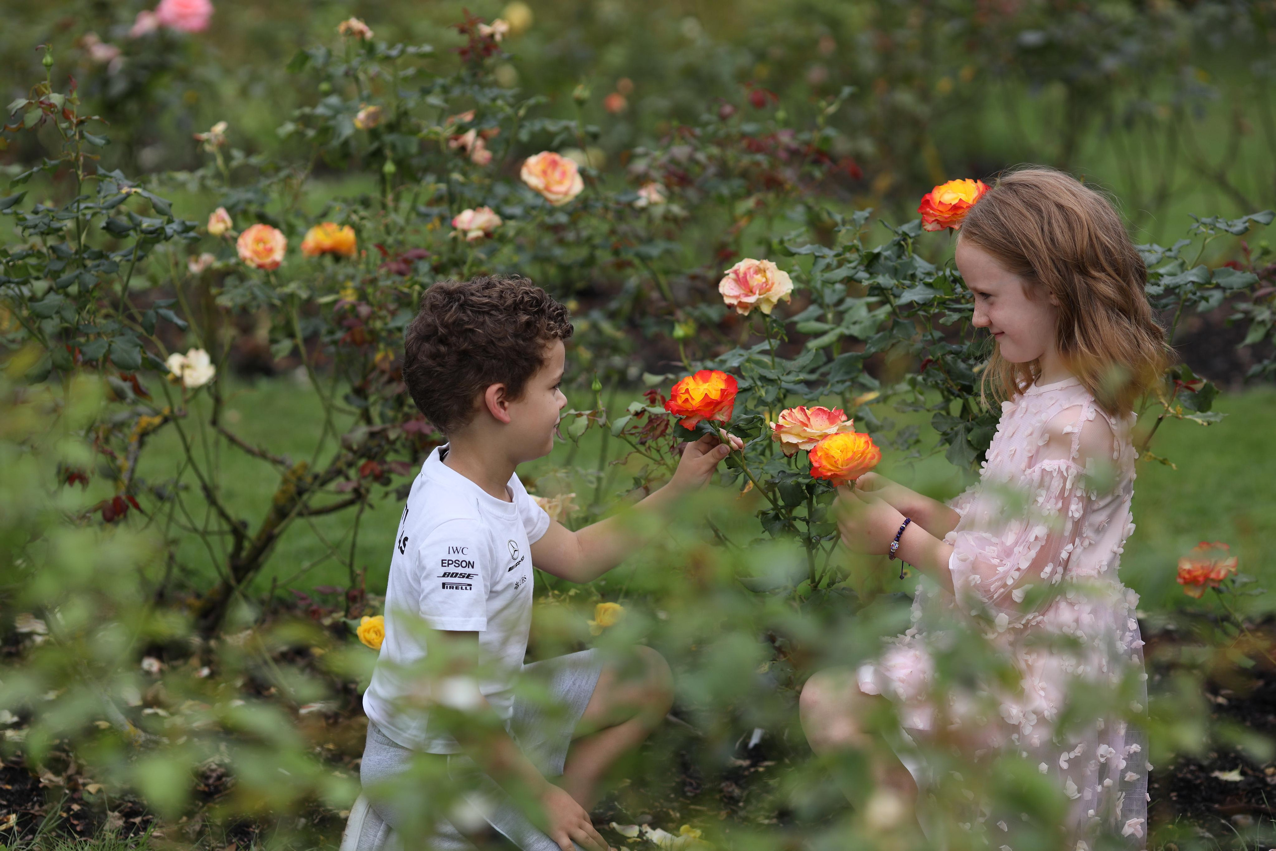 До и после. Семейный и детский фотограф в Лондоне (Кент) Наталья Биндере