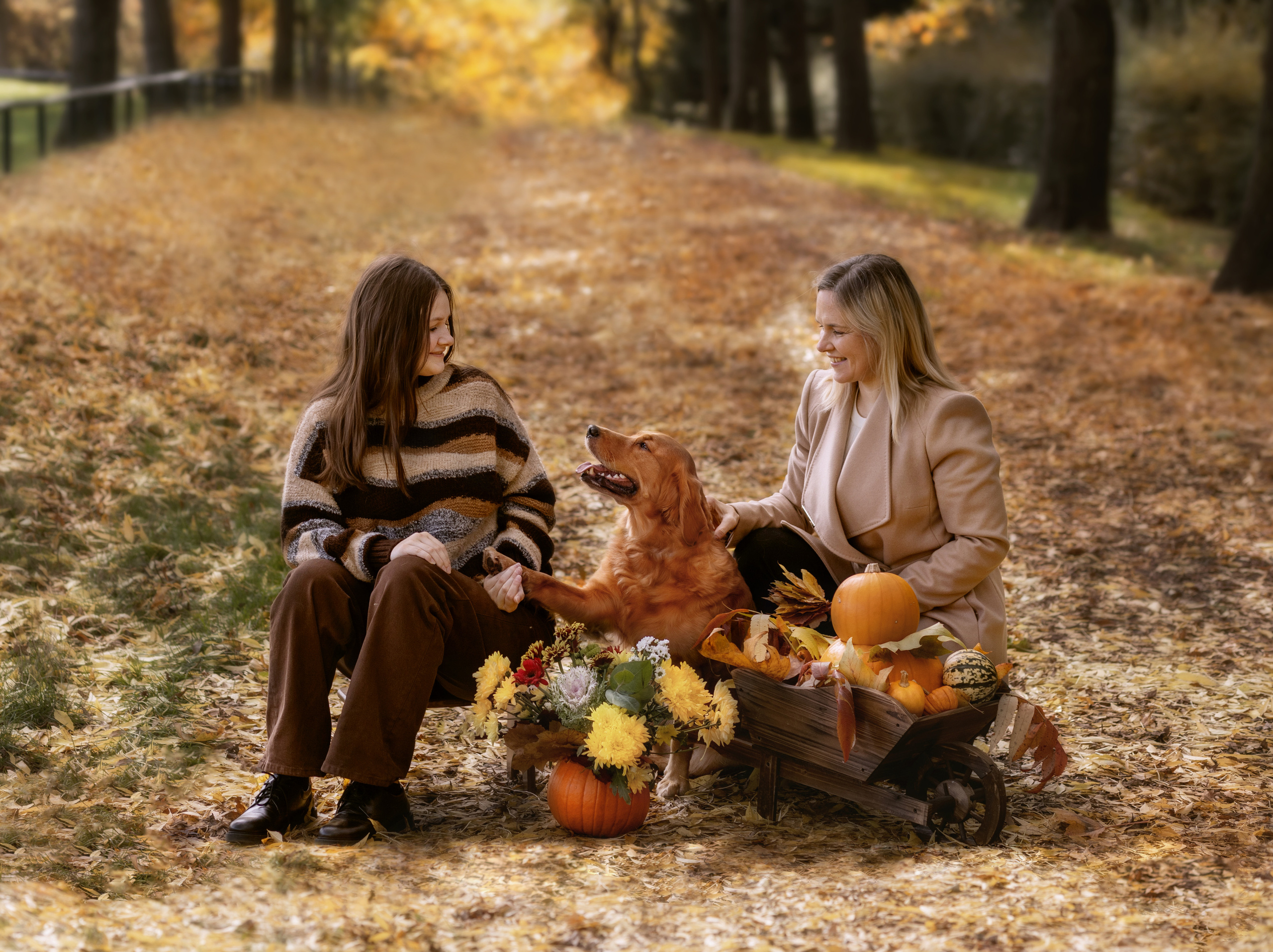 Детские и семейные фотографии. Семейный и детский фотограф в Лондоне (Кент) Наталья Биндере