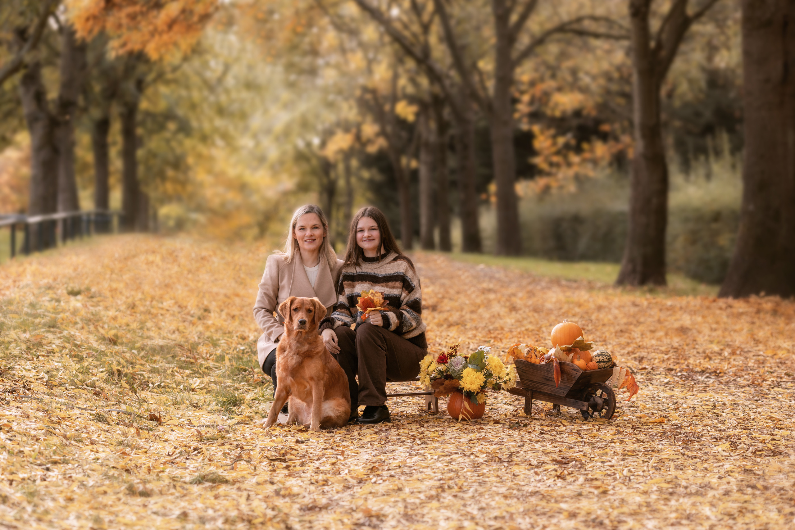 Детские и семейные фотографии. Семейный и детский фотограф в Лондоне (Кент) Наталья Биндере