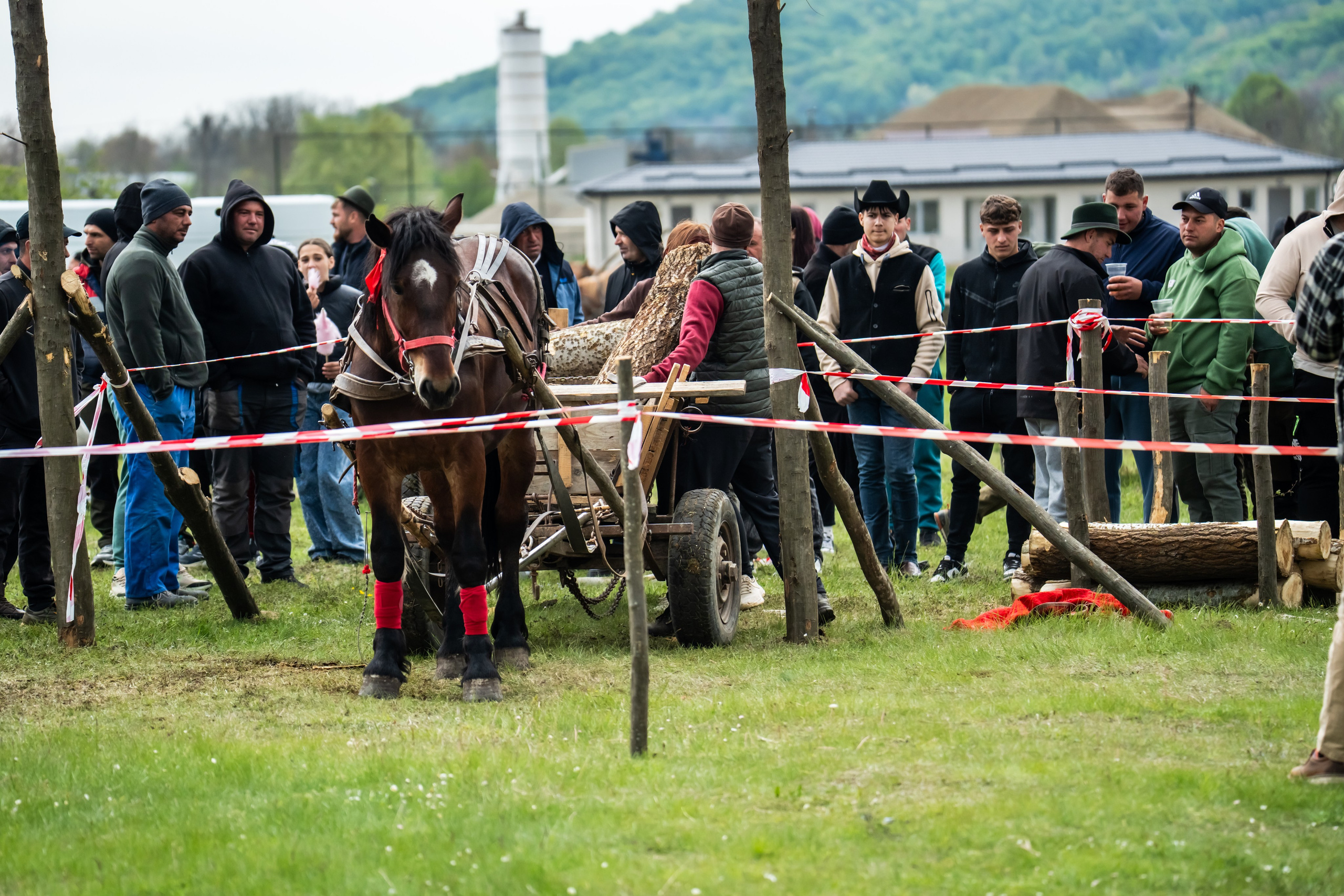 Concurs Ecvestru Vărbilău ediția a 4-a. Mihai Alexandra Events