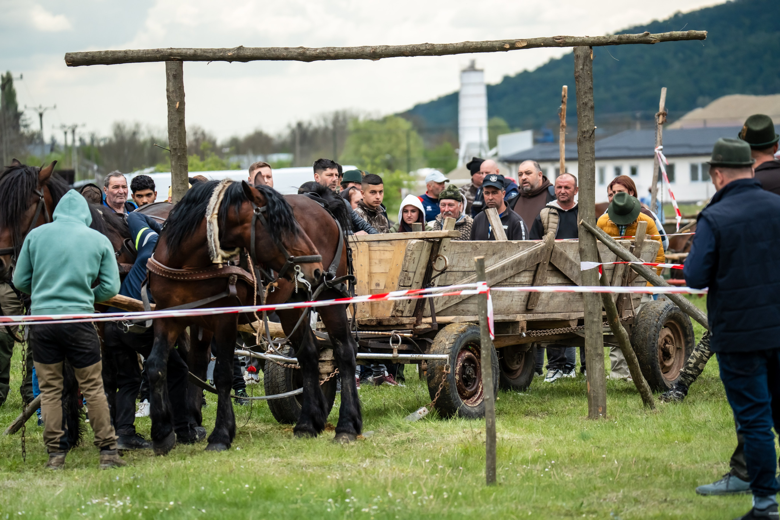 Concurs Ecvestru Vărbilău ediția a 4-a. Mihai Alexandra Events