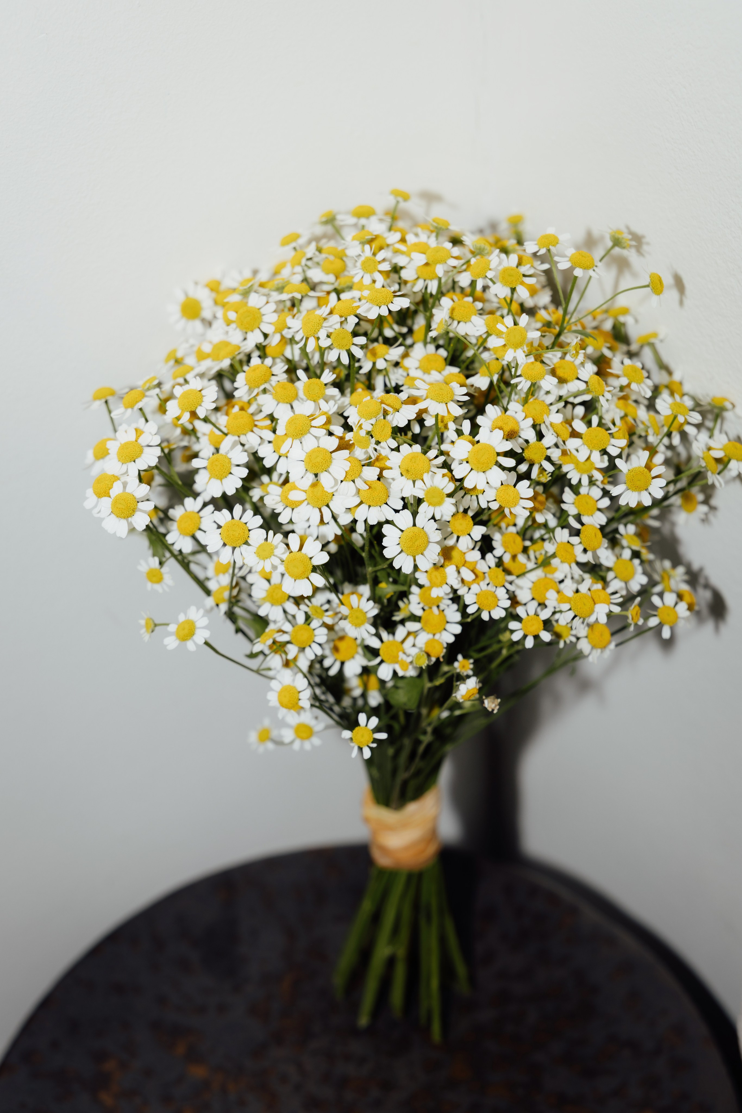 Portfolio. Timeless Wedding & Event Photography — based London, working across Europe