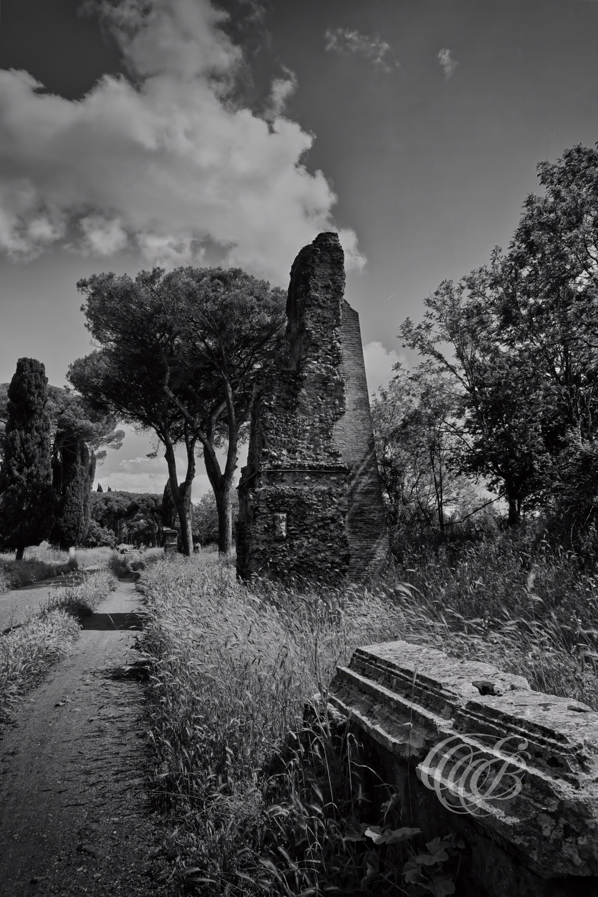 Rome Italy - Via Appia Antica - B&W - Eduardo Bartoli Fine Art Photography - Black and white fine art photograph of Via Appia Antica in Rome, Italy – photography by Eduardo Bartoli.