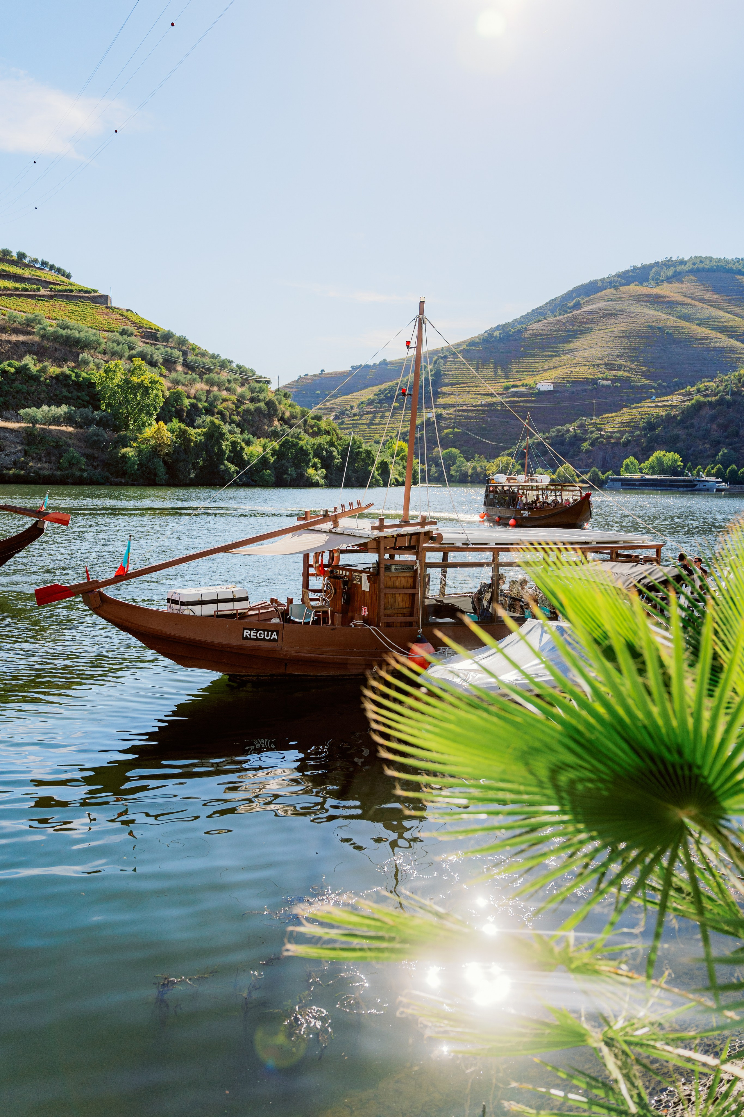 Долина Дору: портвейны и история