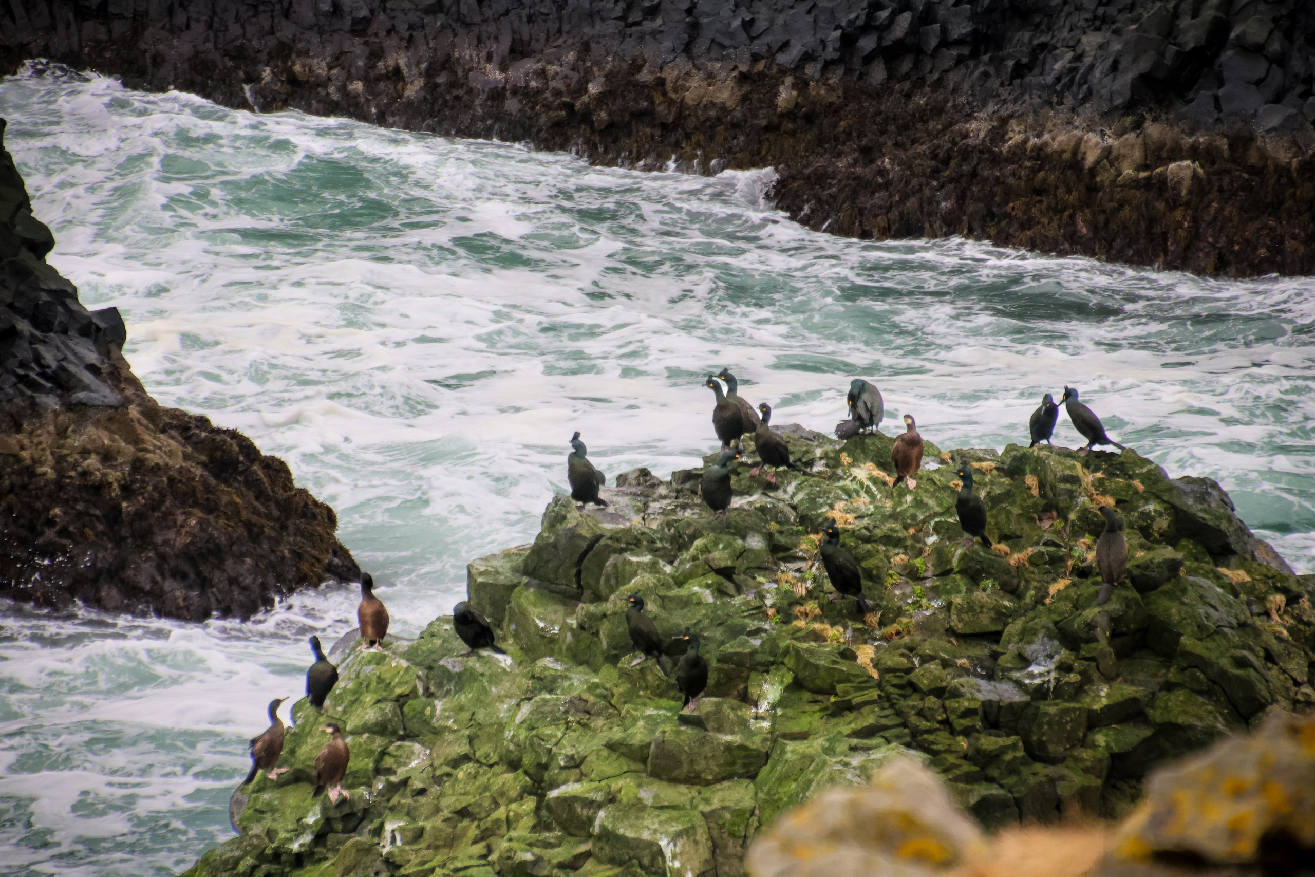 Iceland 2025. Marina, Fotograf aus Nürnberg