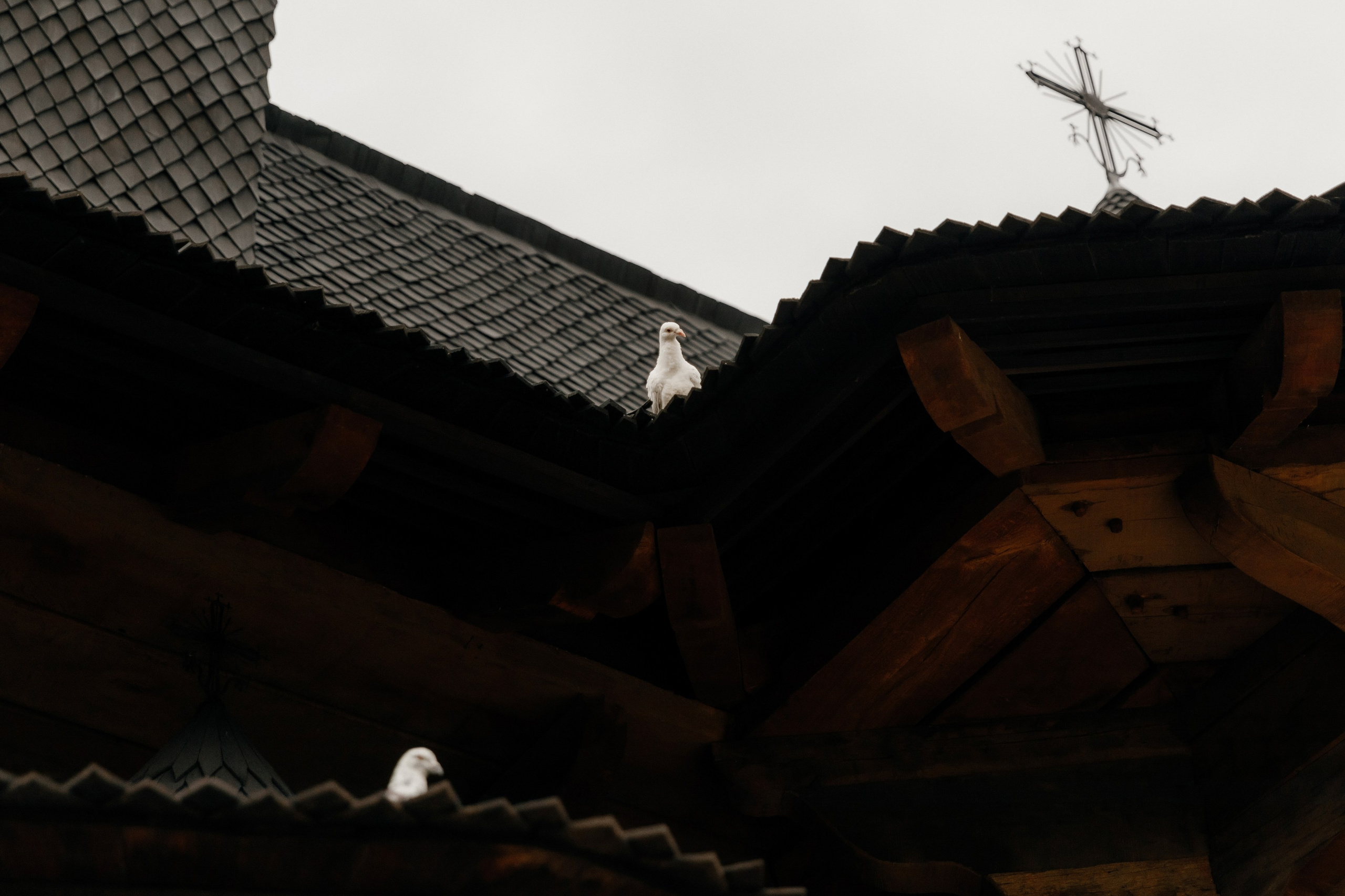 Wedding. Fulga Photographer