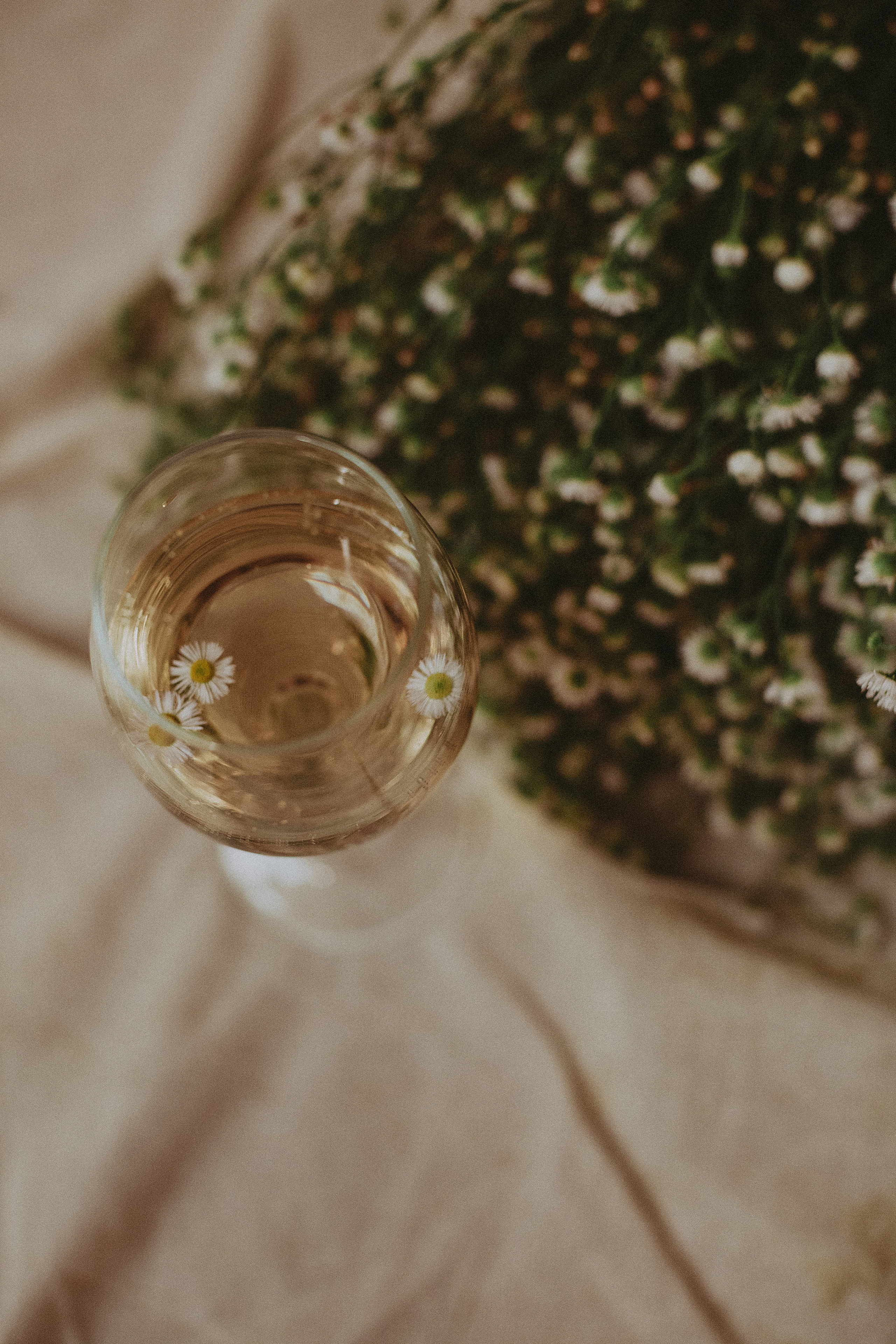 Индивидуальная фотосессия