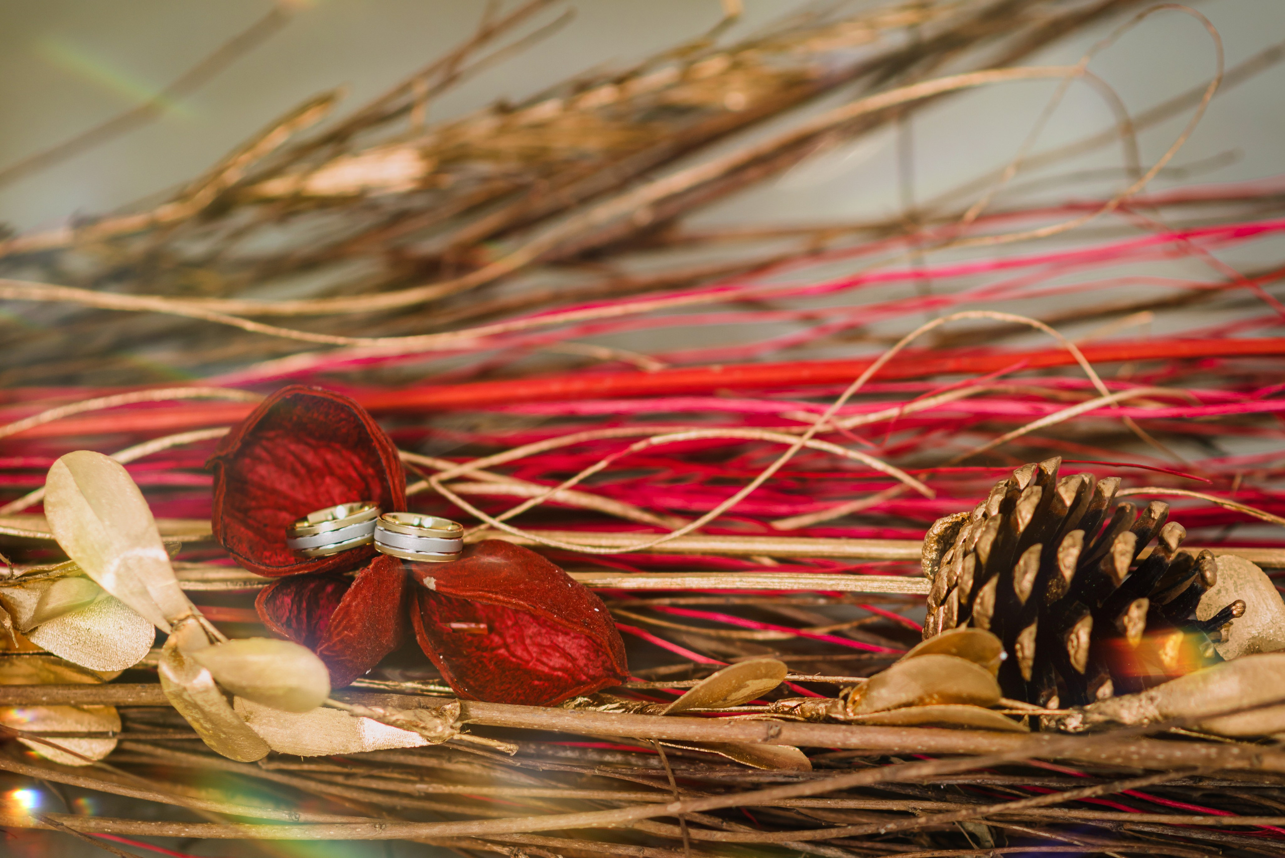 Anca & George. Giani Maftei