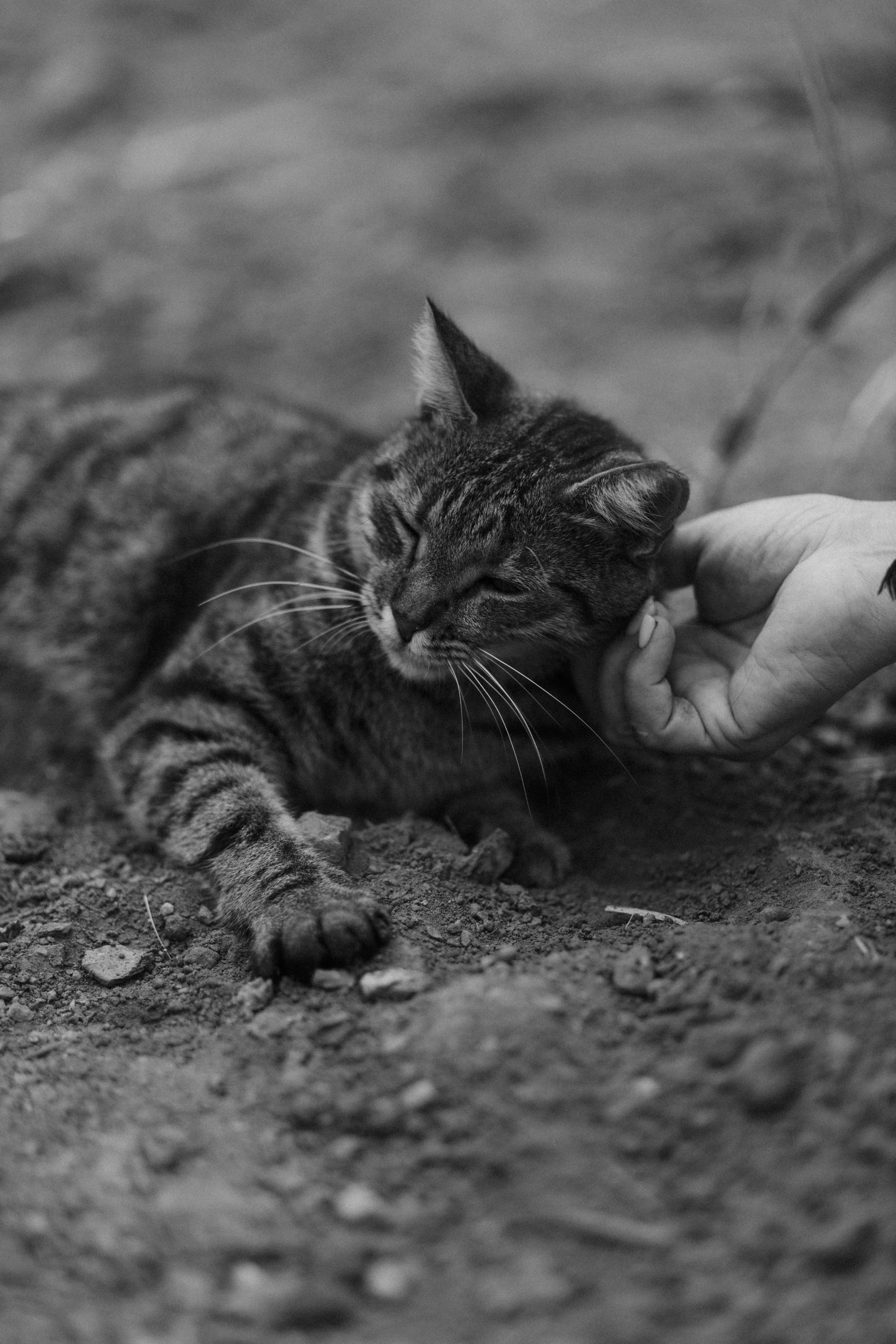 . Фотопрогулки в Стамбуле