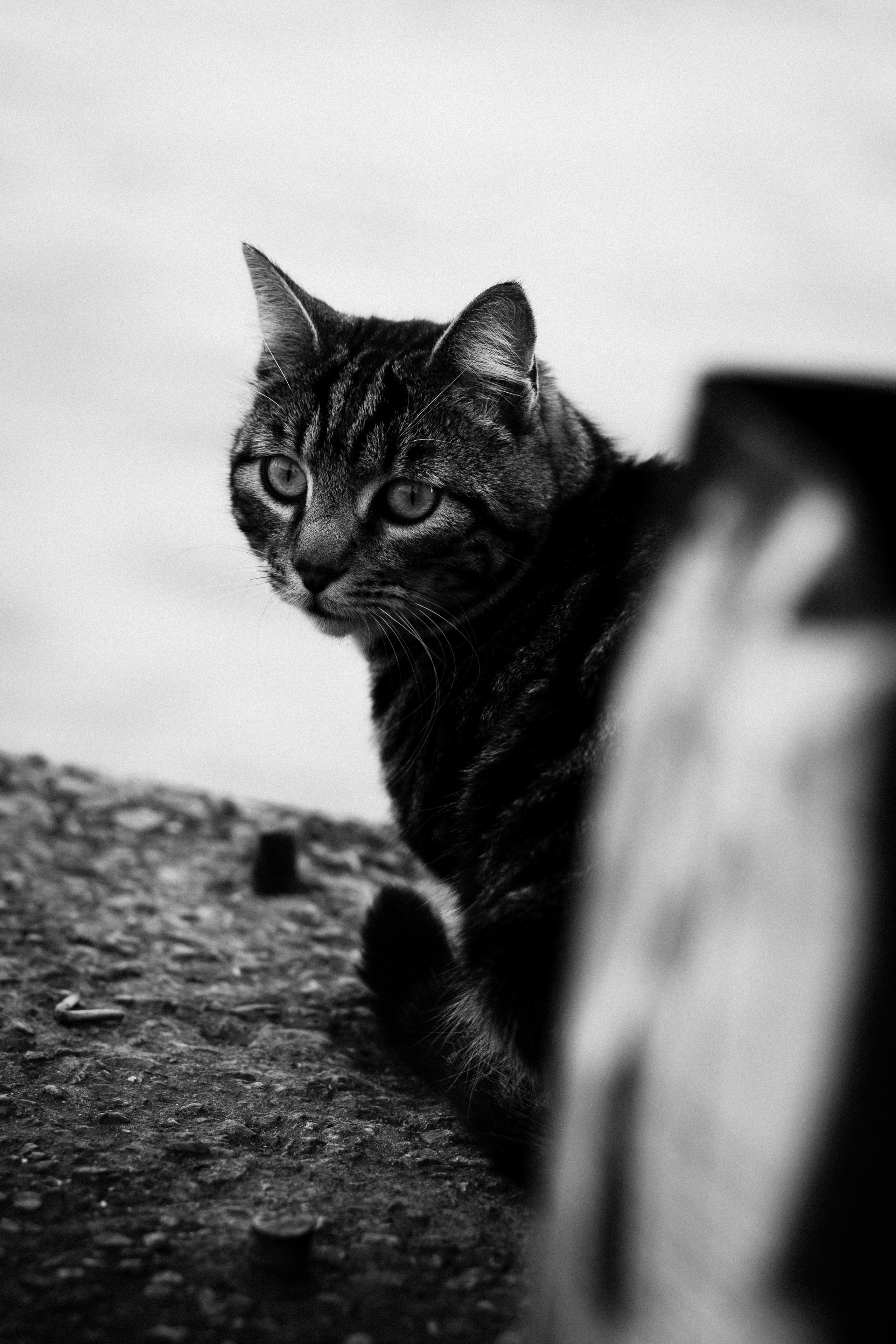 Стамбул. Фотопрогулки в Стамбуле