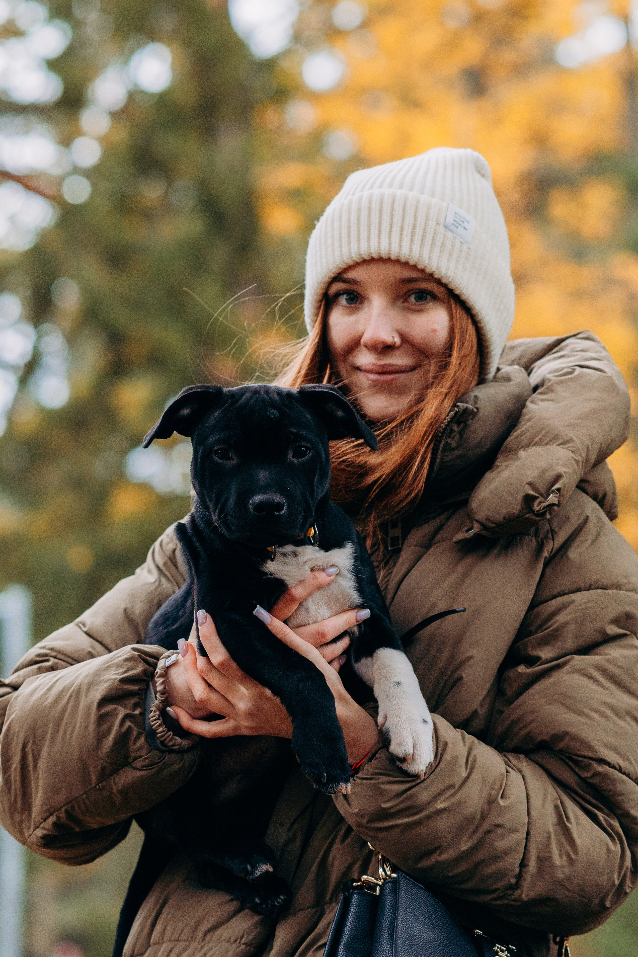 Staffordshire Bull Terriers Meetup. Kat Laisaar — Pet photographer in Tallinn