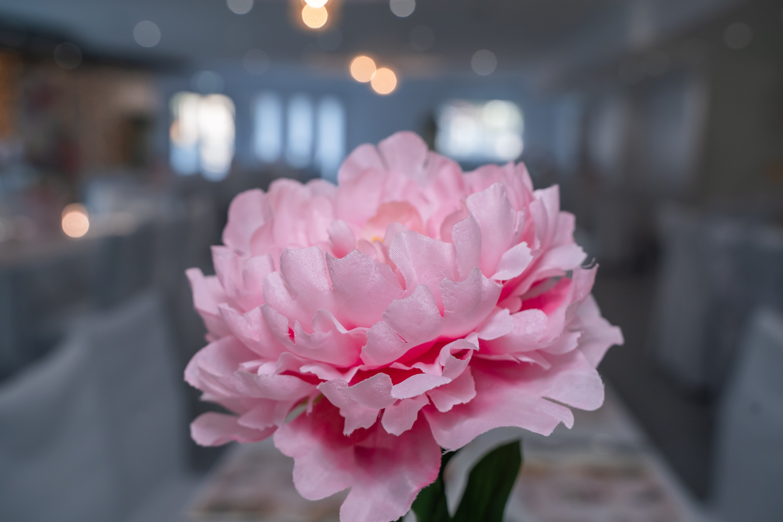 Βaptisms. Wedding and Baptism photographer in cyprus