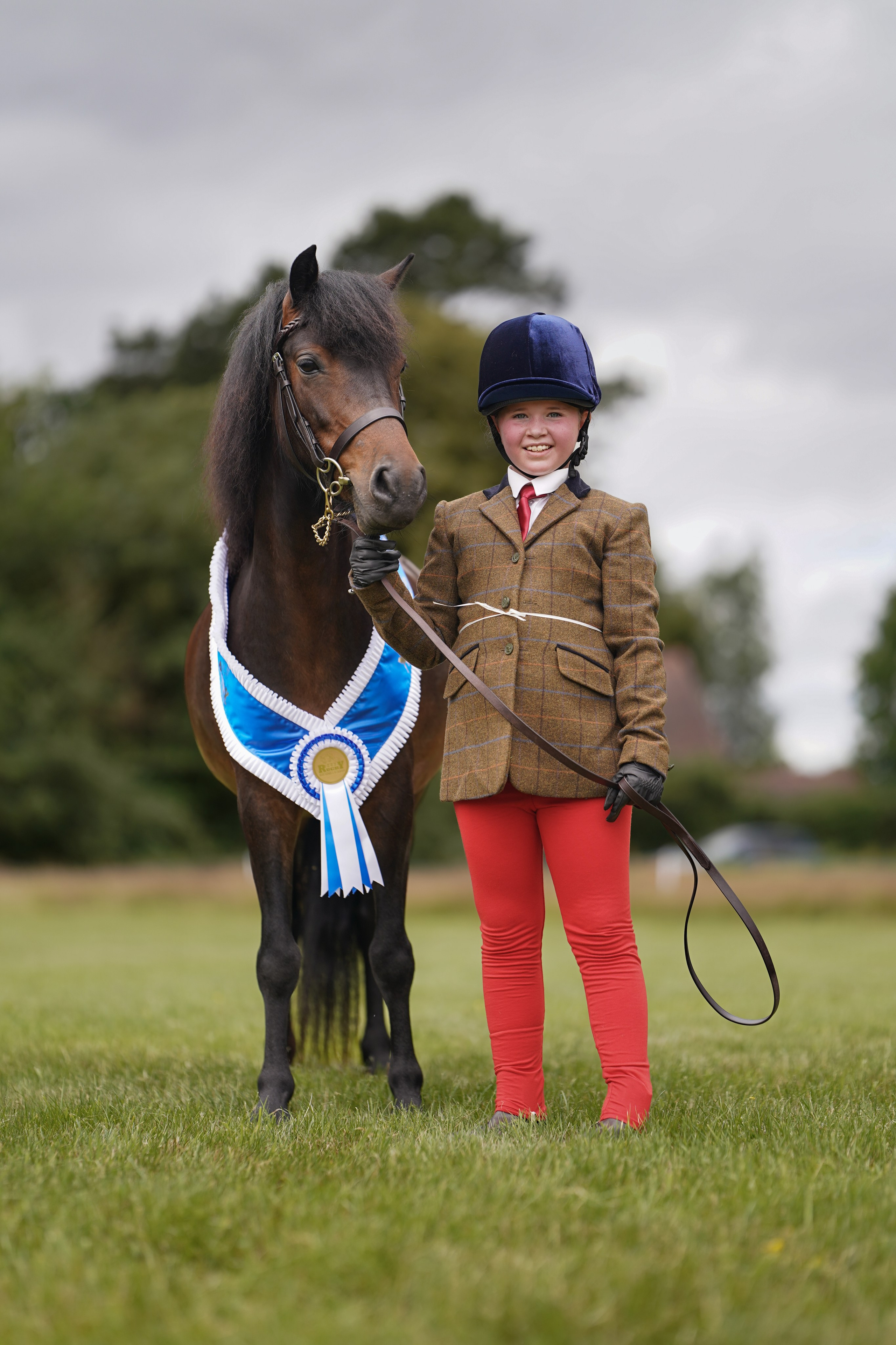 Showing. Leicestershire Equine Photography by El | Authentic Equine Portraits & Events