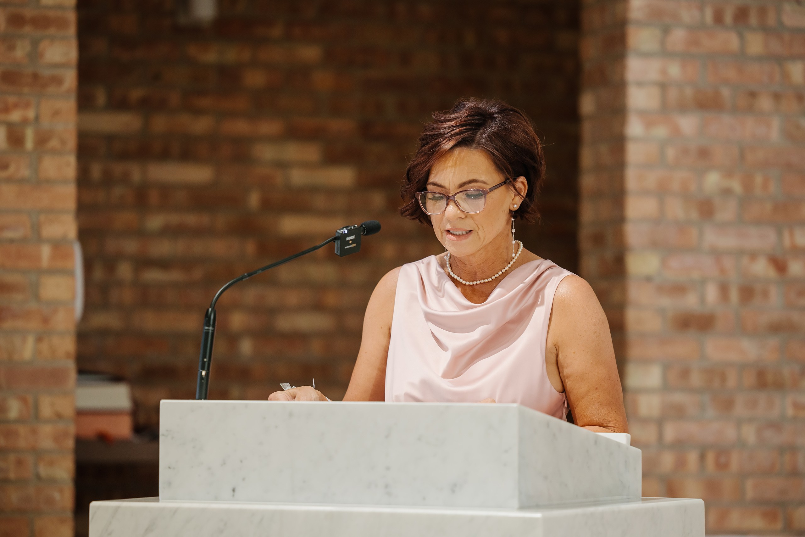 31.08.2024 Wedding. Wedding family event photographer in Chicago Nick Yushevich