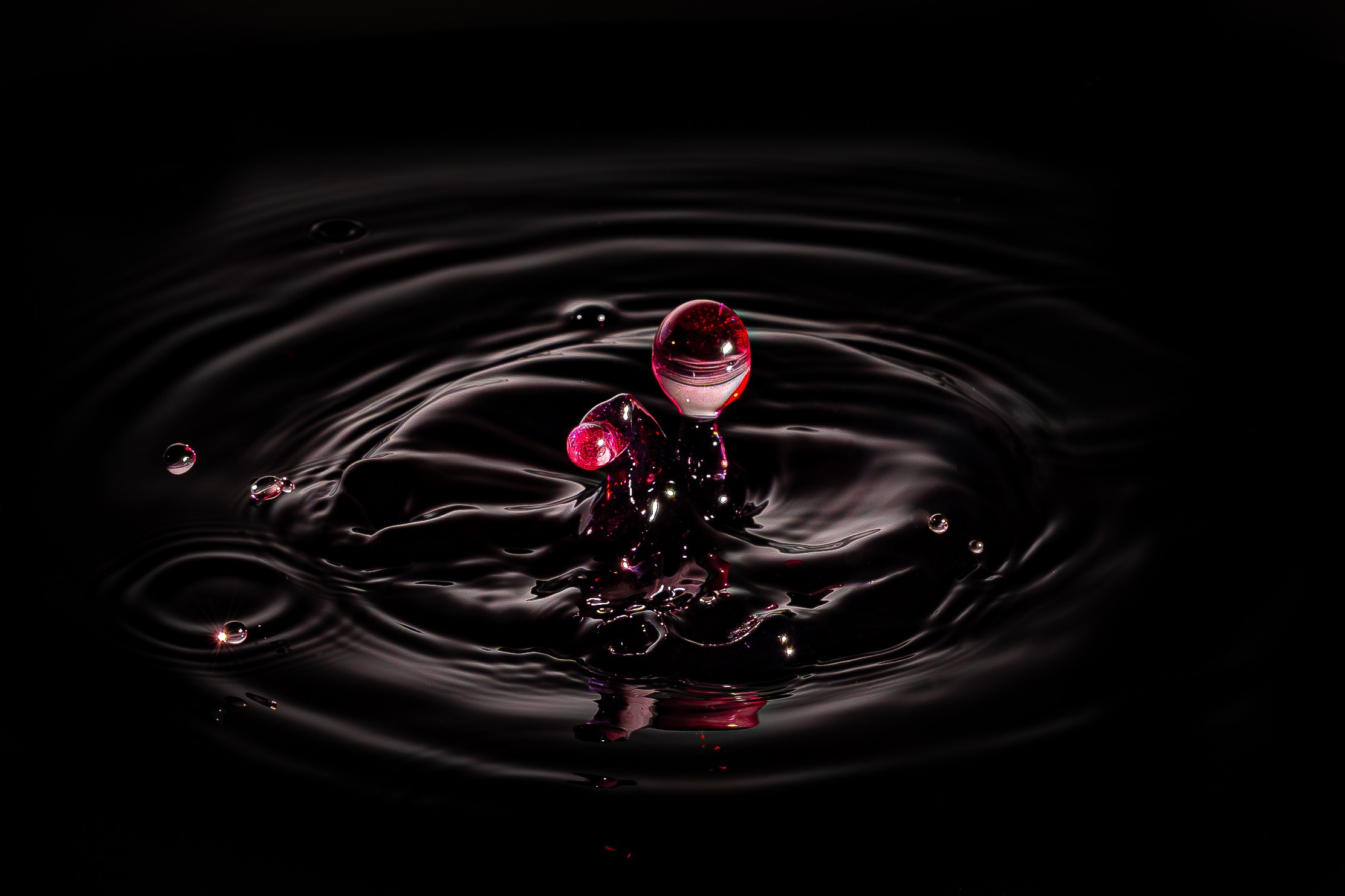 Fotografie produs & mancare. Fotograf și Videograf Nuntă & Evenimente | Pixtory - Constanta