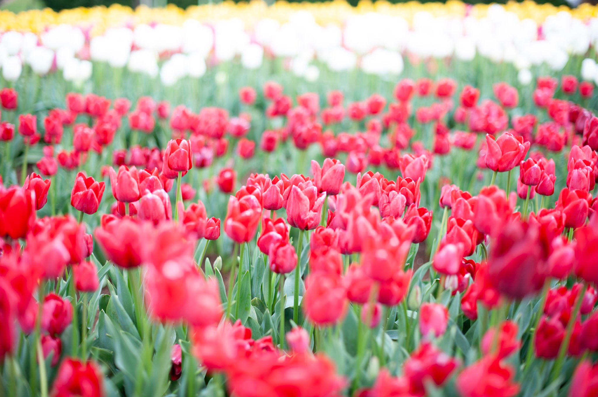 Testimonials. Cindy Law | Vacation & Lifestyle Photographer in Melbourne