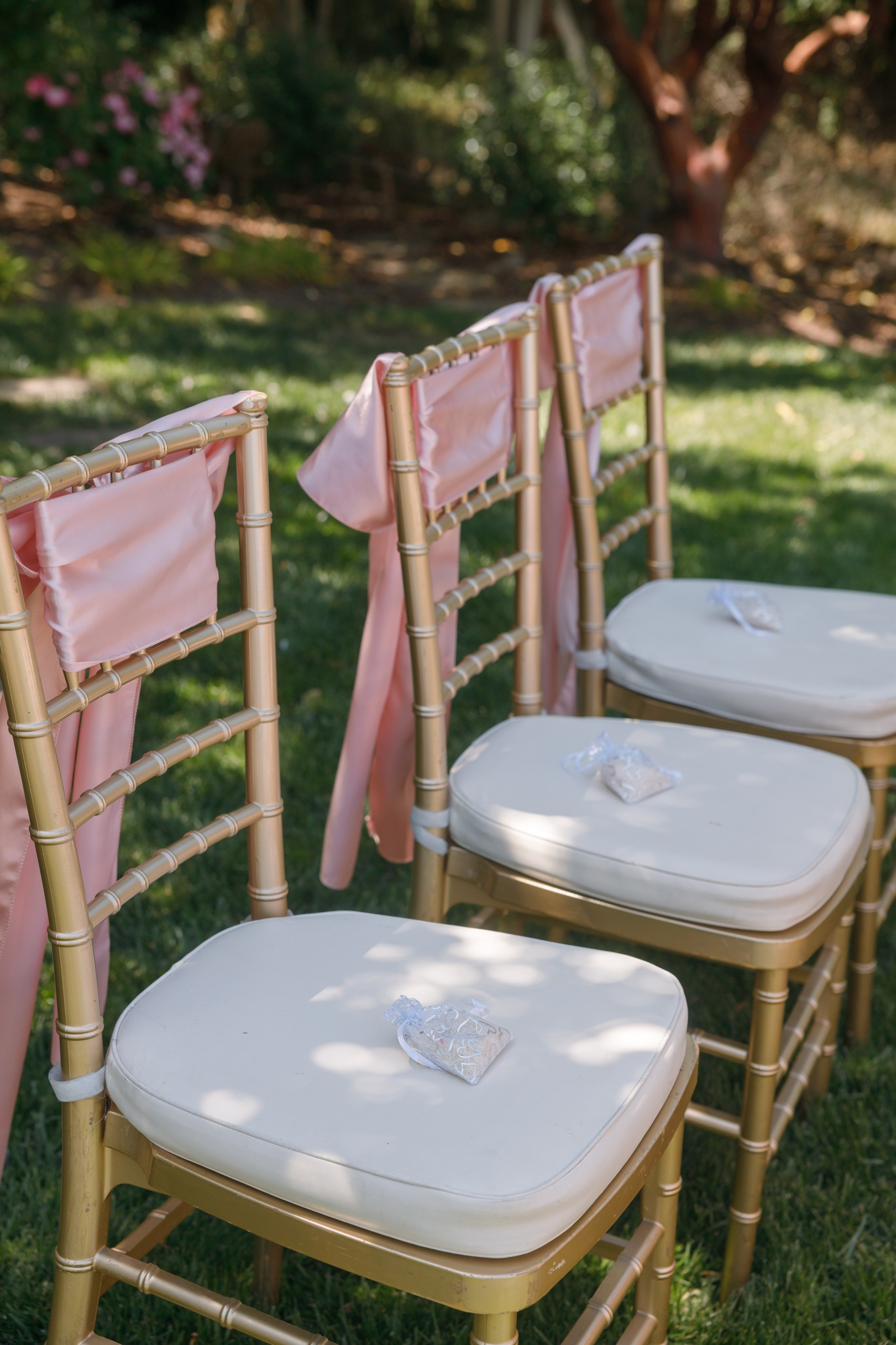 Wedding. Family and Event photographer in Bay Area Elena Tiuriumina