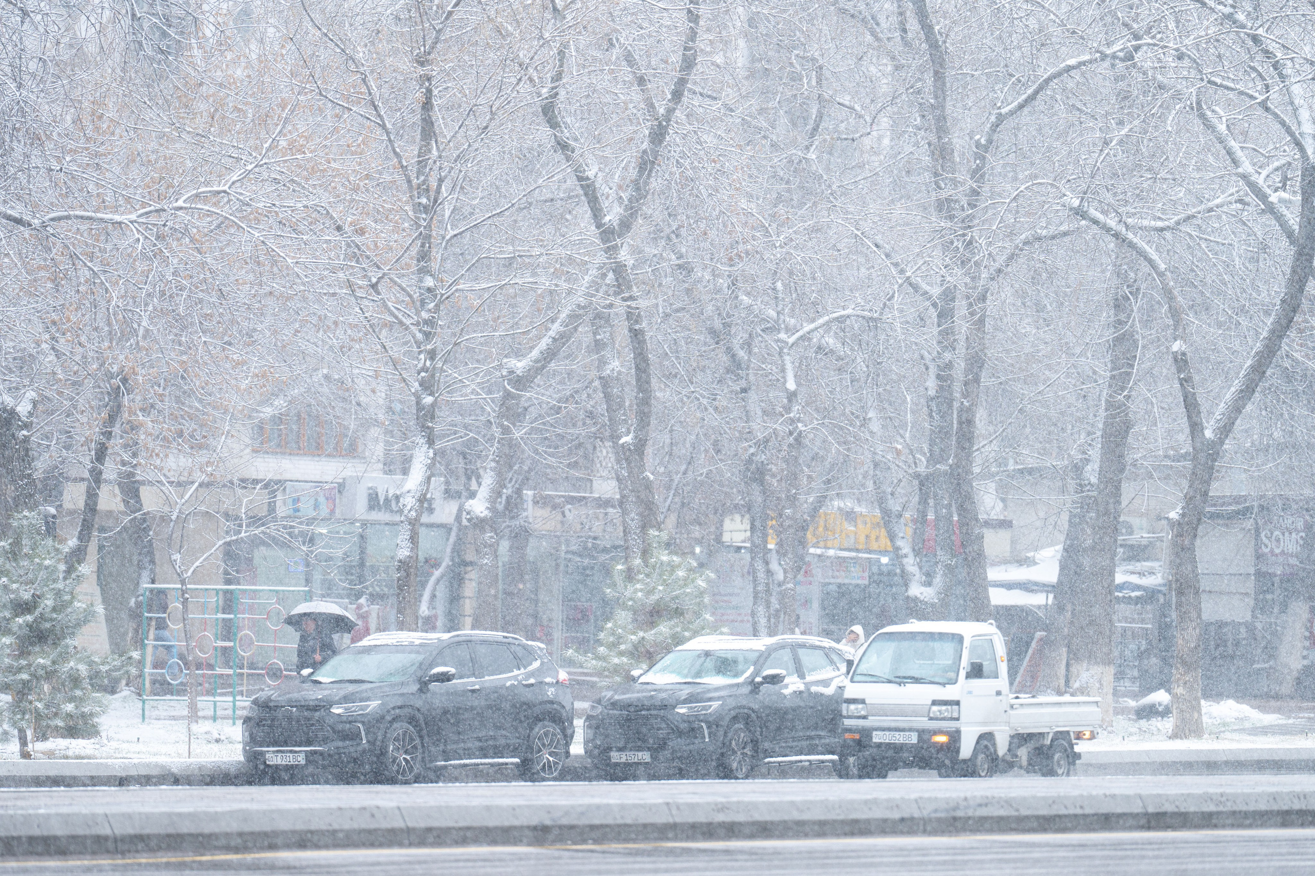 Первый снег в 2024 году. Георгий Намазов | Фотограф в Ташкенте