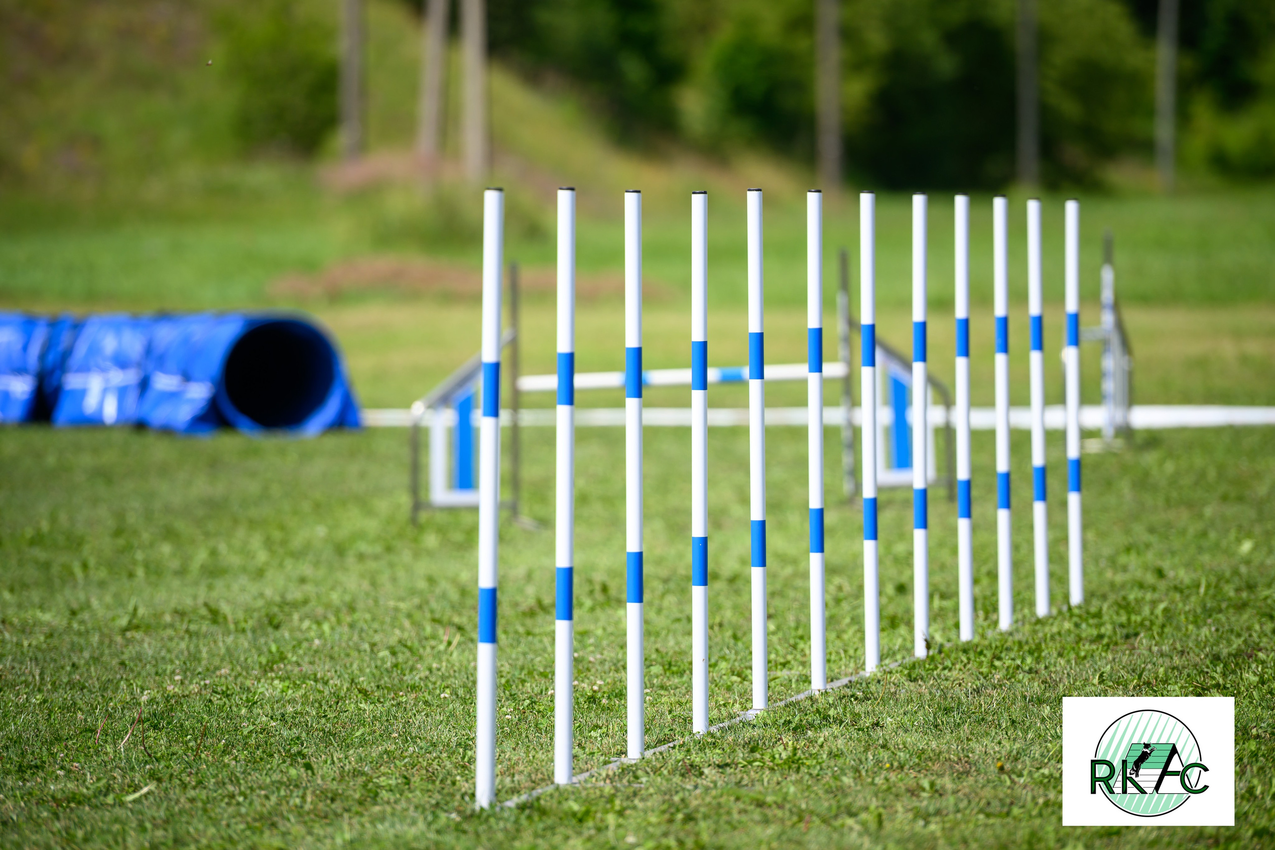 Suņu sacensības veiklībā. Ritvars Pujats Emotion Photographer