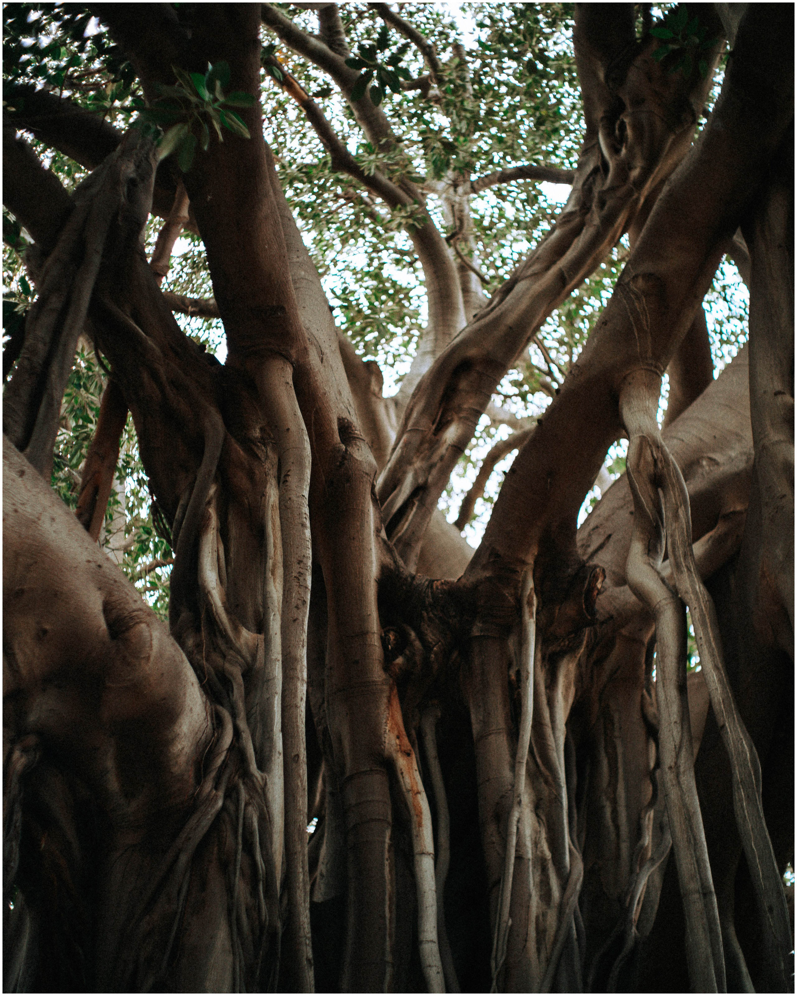 PALERMO. Photographer Inna Mendelson