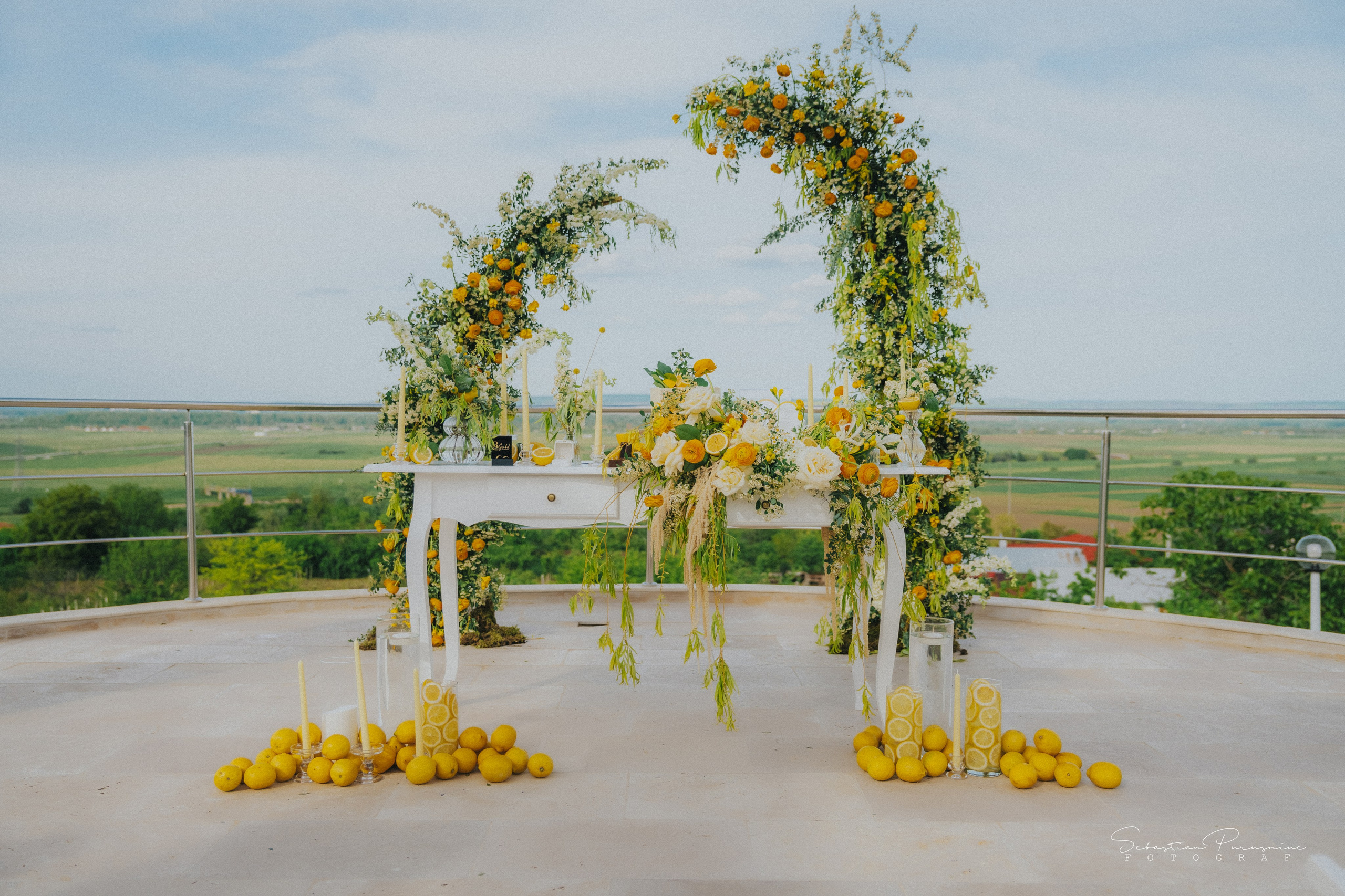 Love & Lemons. Sebastian Purusniuc Fotograf - Iasi