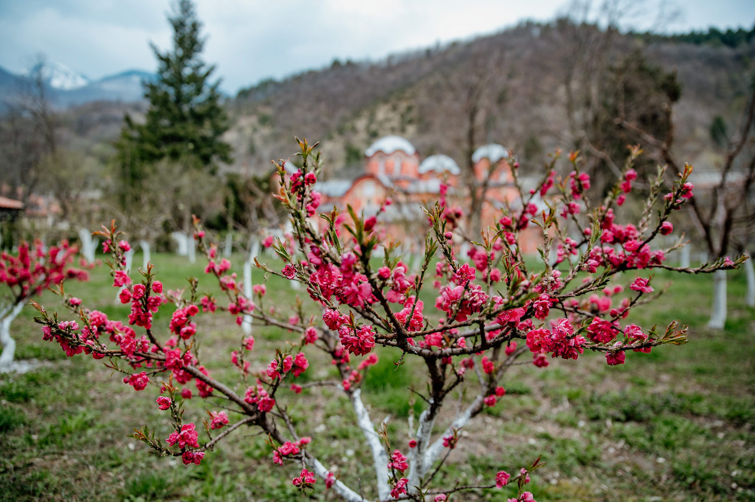 Kosovo and Metohija. Bojana Žuža, photographer in Belgrade, Serbia