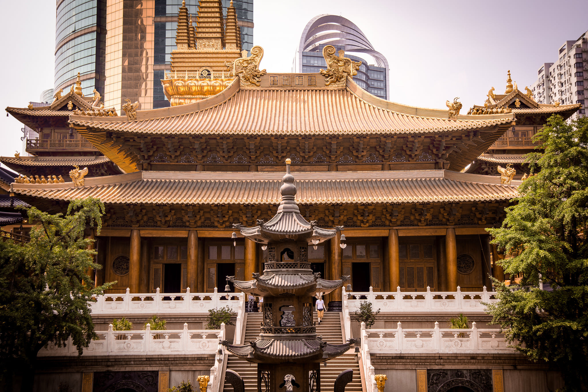 Sangaj. Bojana Žuža fotograf u Beogradu 📷 Belgrade photographer