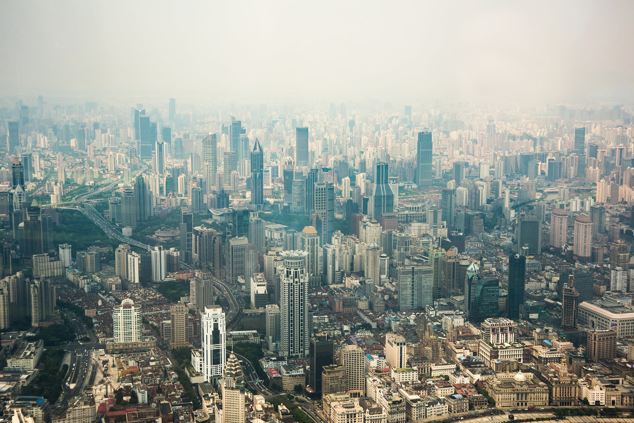 Sangaj. Bojana Žuža fotograf u Beogradu 📷 Belgrade photographer