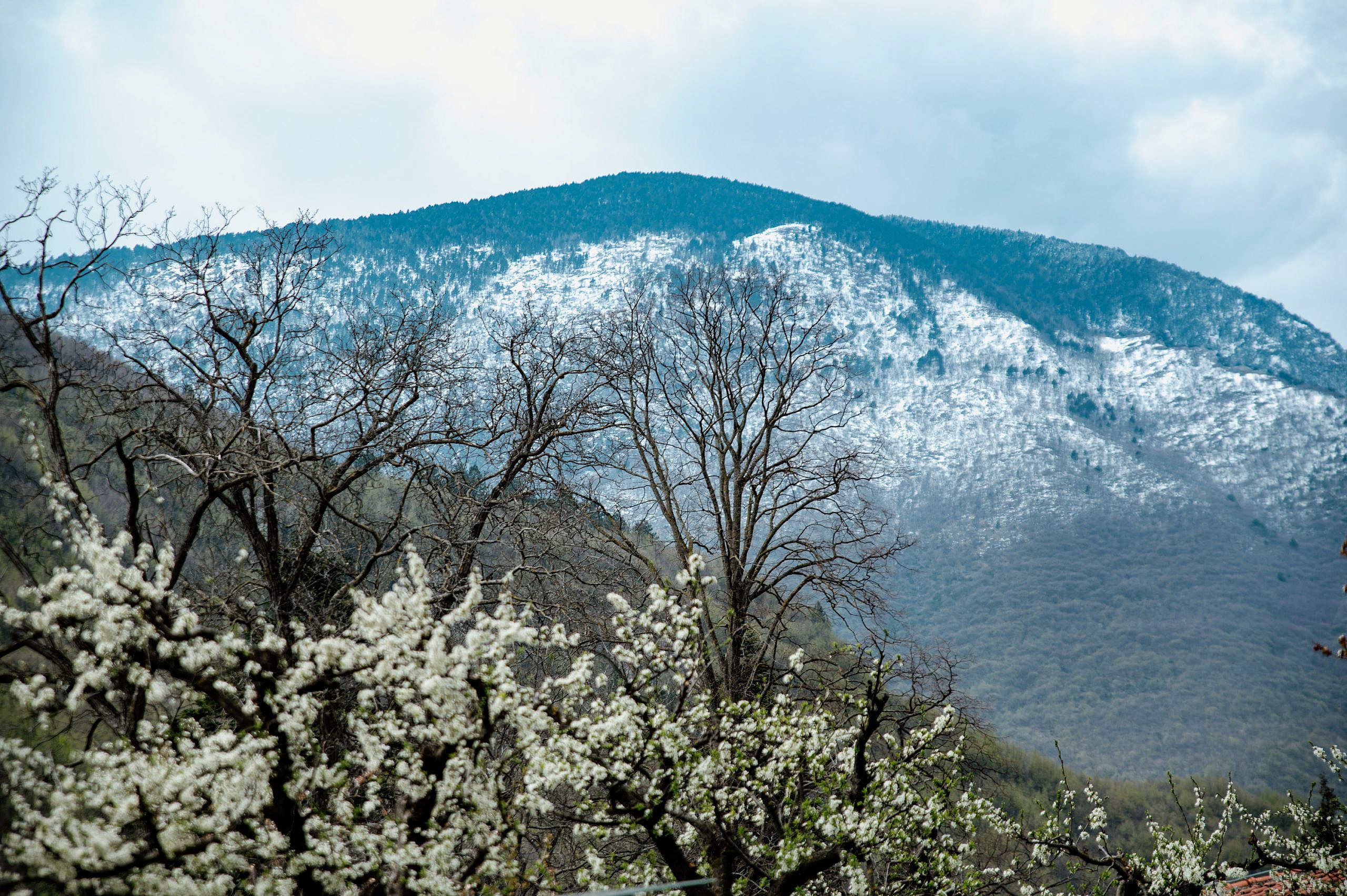 Kosovo and Metohija. Bojana Žuža, photographer in Belgrade, Serbia