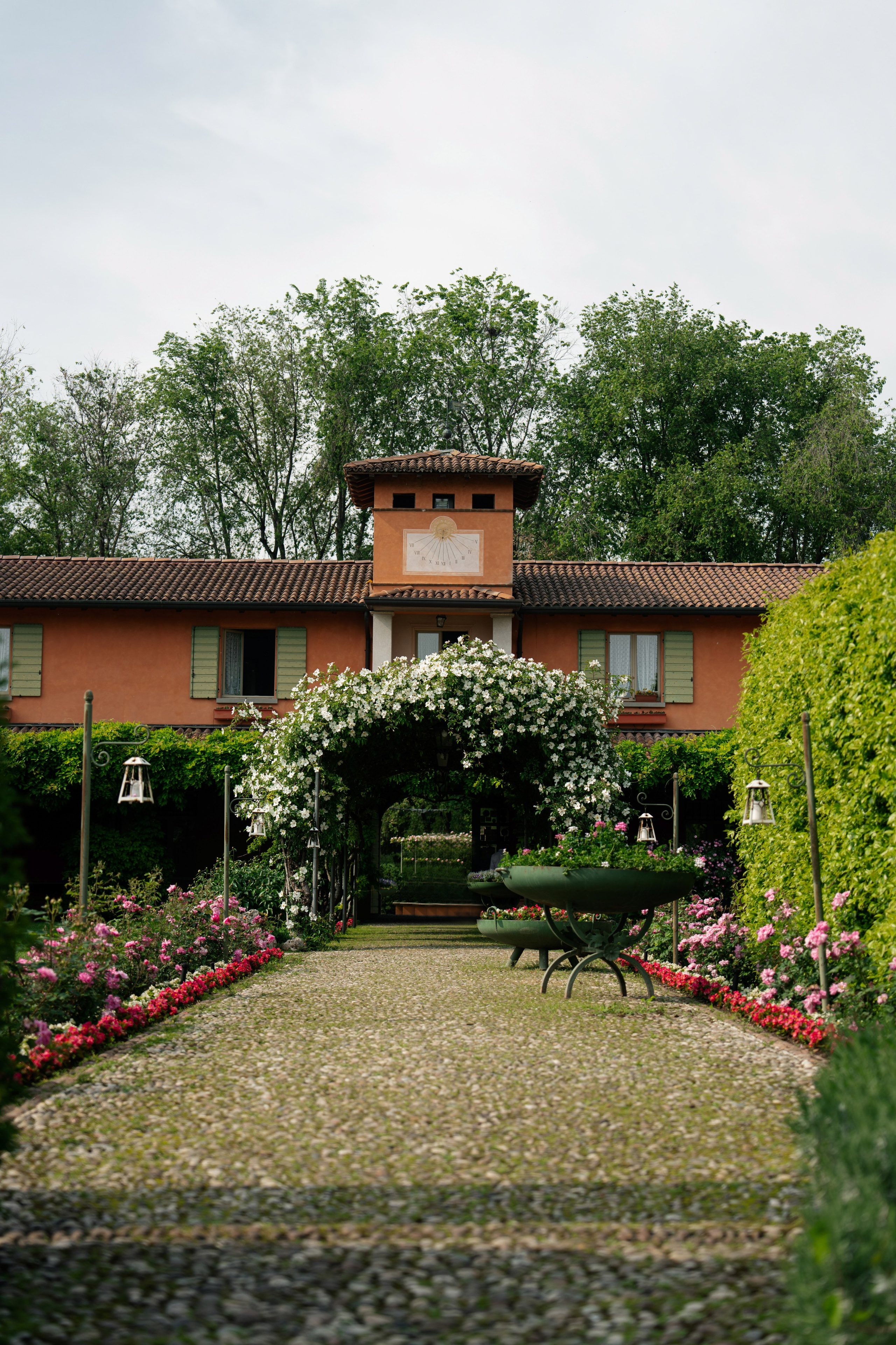 Adele Mari. Studio Timis