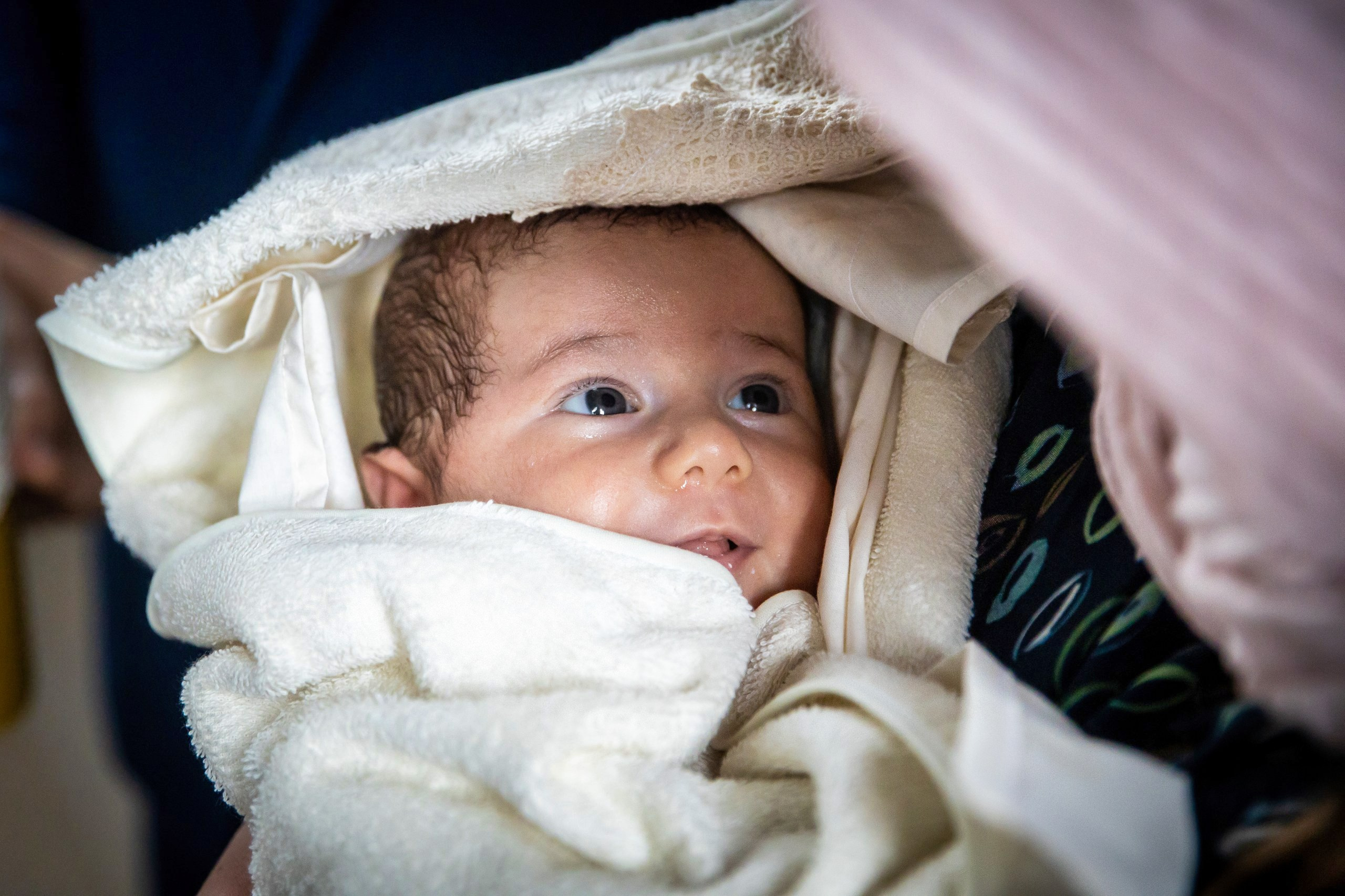 - nunta--fotograf-profesionist-botosani  - fotografie-nunta-romantica - imagini-nunta-in-natura-alin-chirila-fotograf  - fotografii-cuplu-indragostit-nunta-botosani  - sedinta-foto-miri-andrei-iustina-alinofotostudio  - amintiri-din-nunta-realizate-de-fotograf-profesionist  - povestea-nuntii-andrei-si-iustina-in-imagini-alinofotostudio-fotograf evenimente- evenimente Botoșani -fotograf Suceava - fotograf Iași- servicii foto. servicii foto Botoșani. servicii foto video Botoșani. otograf-nunta-botosani-fotograf nunta. fotograf evenimente. fotograf nunta Botoșani. Alin chirila. Alin chirila fotograf. Alinofotostudio.- servicii foto. servicii foto Botoșani. servicii foto video Botoșani. fotograf nunta. fotograf evenimente. fotograf nunta Botoșani. Alin chirila. Alin chirila fotograf. Alinofotostudio.fotograf stare civilă,poze stare civilă,album foto stare civilă,servicii foto suceava,fotograf evenimente suceava,fotograf nuntă suceava,poze cununie civilă,ședință foto stare civilă,sesiune foto suceava,fotograf profesionist suceava,fotograf botosani,stare civila botosani,alinofotostudio,alin chirila fotograf.servicii foto. servicii foto Botoșani. servicii foto video Botoșani. fotograf nunta. fotograf evenimente. fotograf nunta Botoșani. Alin chirila. Alin chirila fotograf. Alinofotostudio.fotograf stare civilă,poze stare civilă,album foto stare civilă,servicii foto suceava,fotograf evenimente suceava,fotograf nuntă suceava,poze cununie civilă,ședință foto stare civilă,sesiune foto suceava,fotograf profesionist suceava,fotograf botosani,stare civila povestitor prin fotografiebotosani,alinofotostudio,alin chirila fotograf,servicii foto. servicii foto Botoșani. servicii foto video Botoșani. fotograf nunta. fotograf evenimente. fotograf nunta Botoșani. Alin chirila. Alin chirila fotograf. Alinofotostudio.fotograf stare civilă,poze stare civilă,album foto stare civilă,servicii foto suceava,fotograf evenimente suceava,fotograf nuntă suceava,poze cununie civilă,ședință foto stare civilă,sesiune foto suceava,fotograf profesionist suceava,fotograf botosani,stare civila botosani,alinofotostudio,alin chirila fotograf,cununie religioasă botoșani,andreea și neculai,capela militară botoșani,foto conacul zăicești,fotograf nuntă botoșani,fotograf cununie religioasă,foto evenimente botoșani,poze cununie capela militară,ședință foto zăicești,fotograf profesionist botoșaniMire și mireasă – Sergiu & Liliana – ziua nunții, 2024  - Emoții în ziua nunții – Sergiu și Liliana  - Dansul mirilor – fotografie artistică nuntă 2024  - Sedinta foto romantică în natură – Sergiu & Liliana  - Rochia de mireasă și detalii de nuntă elegan-Album de cununie civilă Florin și Anda – Fotografii profesionale realizate de Alin Chirilă în Botoșani -fotograf prin fotografie-Ședință foto Trash the Dress pe muntele Rarău cu Iulian și Iuliana – fotografie de cuplu, natură montană, emoție autentică surprinsă de Alin Chirilă, povestitor prin fotografie.- "Iulian și Iuliana pe crestele Rarăului – fotografie Trash the Dress în natură"  - "Cuplu îmbrățișat la apus pe muntele Rarău – ședință foto după nuntă"  - "Rochie de mireasă în vânt pe munte – Trash the Dress Rarău-1. Iulian și Iuliana pe muntele Rarău – ședință foto Trash the Dress în natură, cu peisaj montan spectaculos  2. Cuplu în îmbrățișare pe Rarău – emoție autentică surprinsă după nuntă  3. Rochie de mireasă în bătaia vântului – fotografie artistică Trash the Dress în munți  4. Mire și mireasă privind spre orizont – dragoste și libertate pe muntele Rarău  5. Iuliana zâmbind în rochia de mireasă – portret în natură, Trash the Dress  6. Iulian ținându-și mireasa de mână – ședință foto romantică pe munte  7. Detaliu cu rochia pe stâncă – estetică naturală Trash the Dress Rarău  8. Cuplu în mers pe poteca Rarăului – fotografie simbolică de după nuntă  9. Apus de soare pe Rarău în spatele mirilor – imagine de poveste Trash the Dress  10. Iulian și Iuliana râzând împreună – momente autentice surprinse de Alin Chirilă, povestitor prin fotografie-fotograf-nunta-cerbu-botosan trash-the-dress-botosani Alin Chirilă Fotograf – fotograf de nuntă Botoșani-fotograf nuntă Botoșani-fotograf nuntă Cerbu Botoșani-fotograf profesionist nuntă Botoșani-fotografie de nuntă Botoșani-fotograf evenimente Botoșani-fotograf nuntă Moldova-fotograf trash the dress Botoșani	- fotograf pregătirea mirilor Botoșani	-fotograf ceremonie religioasă nuntă-fotograf petrecere nuntă Botoșani- fotograf nuntă Botoșani pregătirea mirelui- pregătirea mirelui fotografie nuntă Cerbu Botoșani-fotograf nuntă Botoșani pregătirea miresei -mireasă pregătiri nuntă Cerbu Botoșani-fotograf nuntă Botoșani nașii mirilor-ceremonie religioasă nuntă Cerbu Botoșani-fotograf nuntă Botoșani ceremonie religioasă biserică-petrecere nuntă Cerbu Botoșani invitați dans-fotograf nuntă Botoșani petrecere restaurant-ședință foto trash the dress-fotograf trash the dress Botoșani ședință foto după nuntă-Fotograf nuntă Botoșani – galerie foto reală de la evenimente