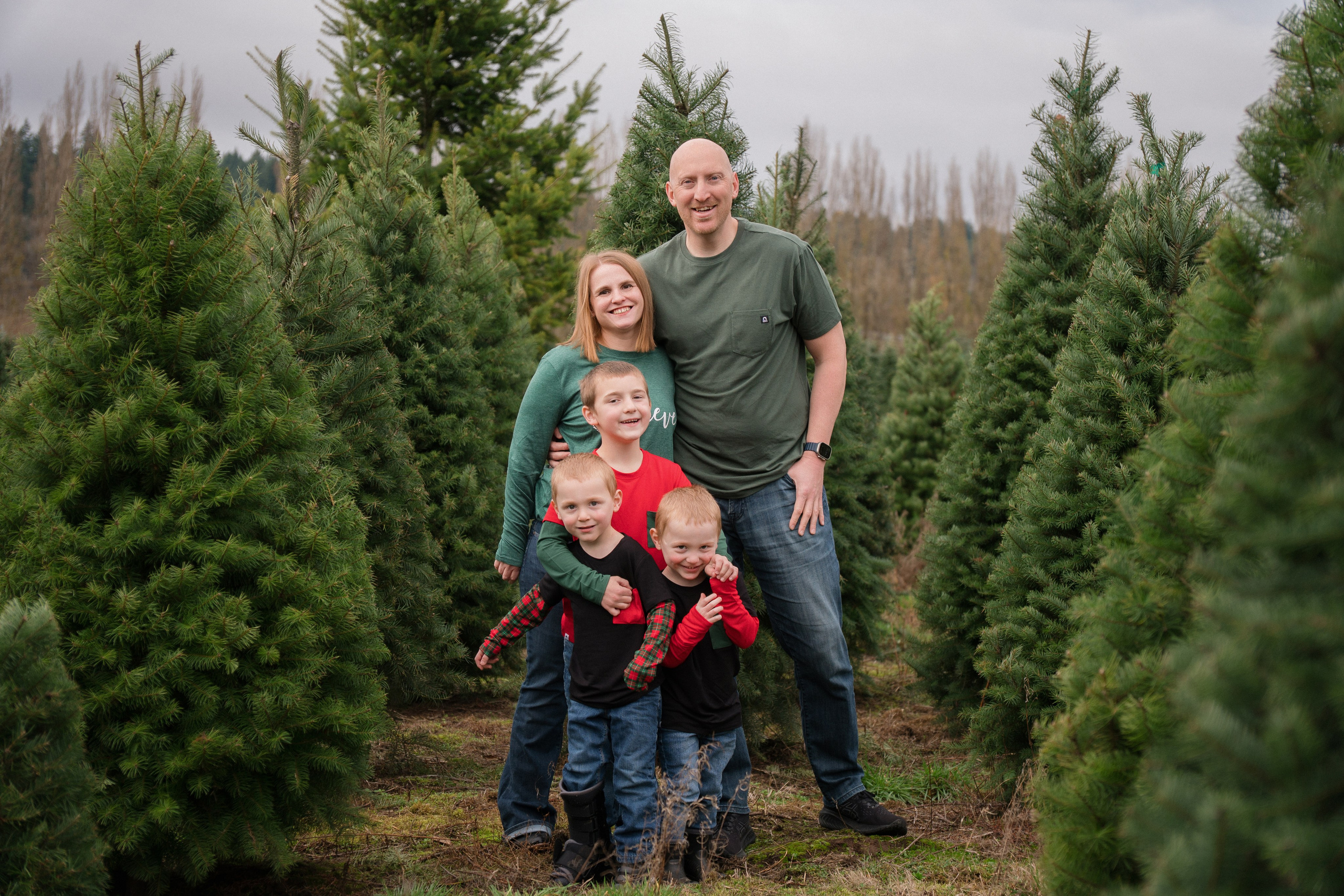 Christmas sessions. Photographer in Washington Sophia D