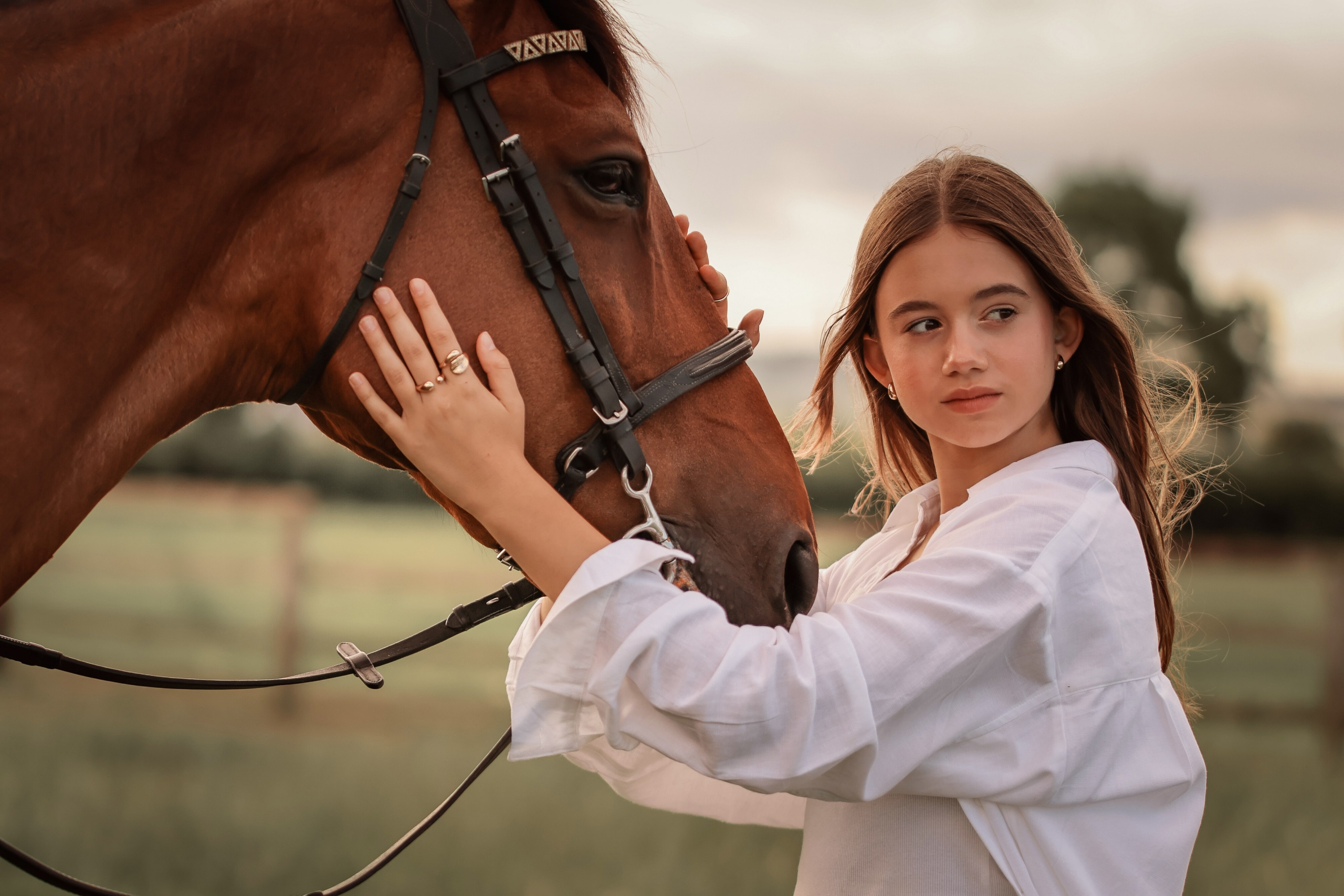 Among the Horses. Photographer Co Dublin, Balbriggan — Agata Maliseva