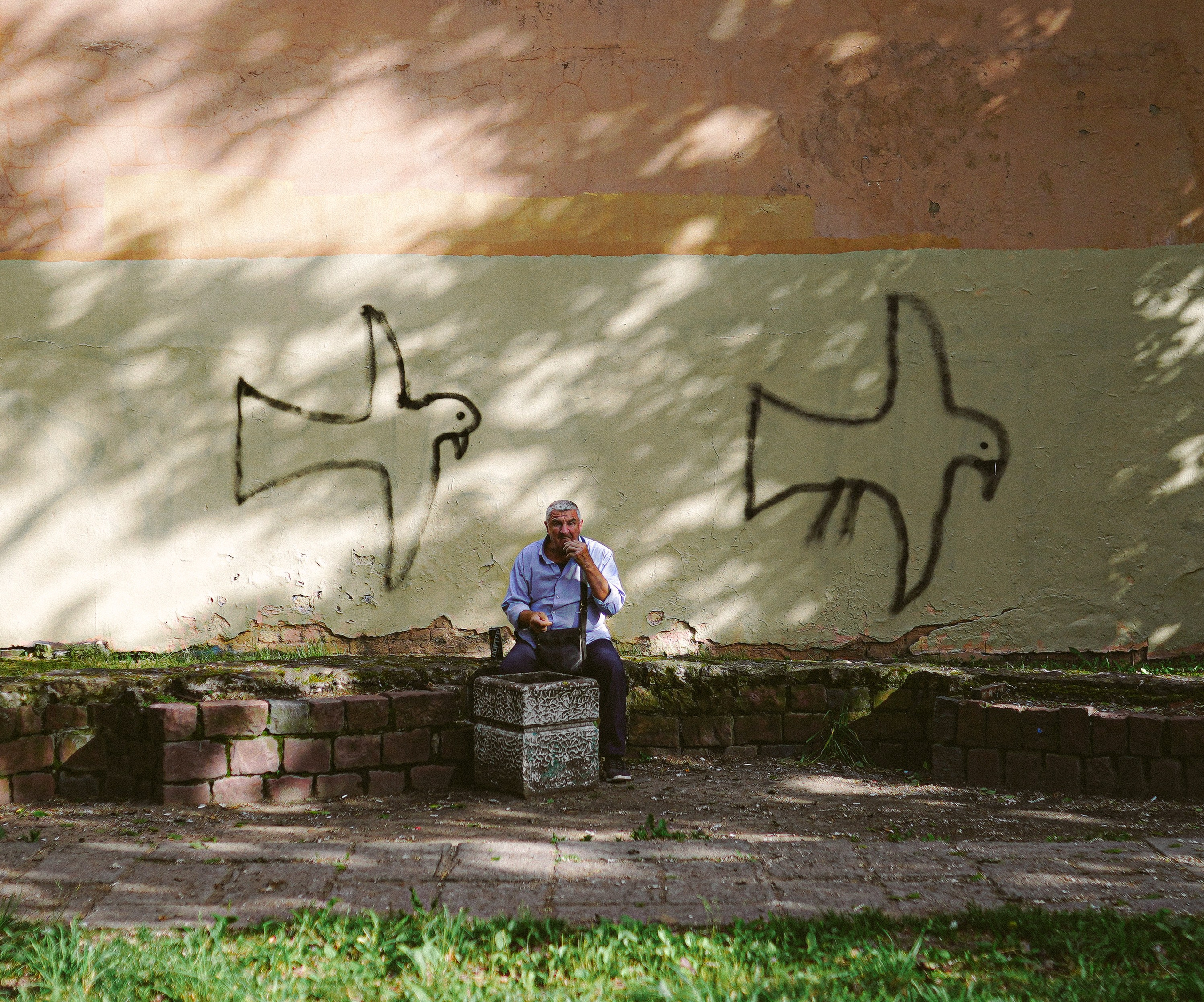 Пернатый психоз. Стрит-фотография, полная абсурда, идиотизма и красоты