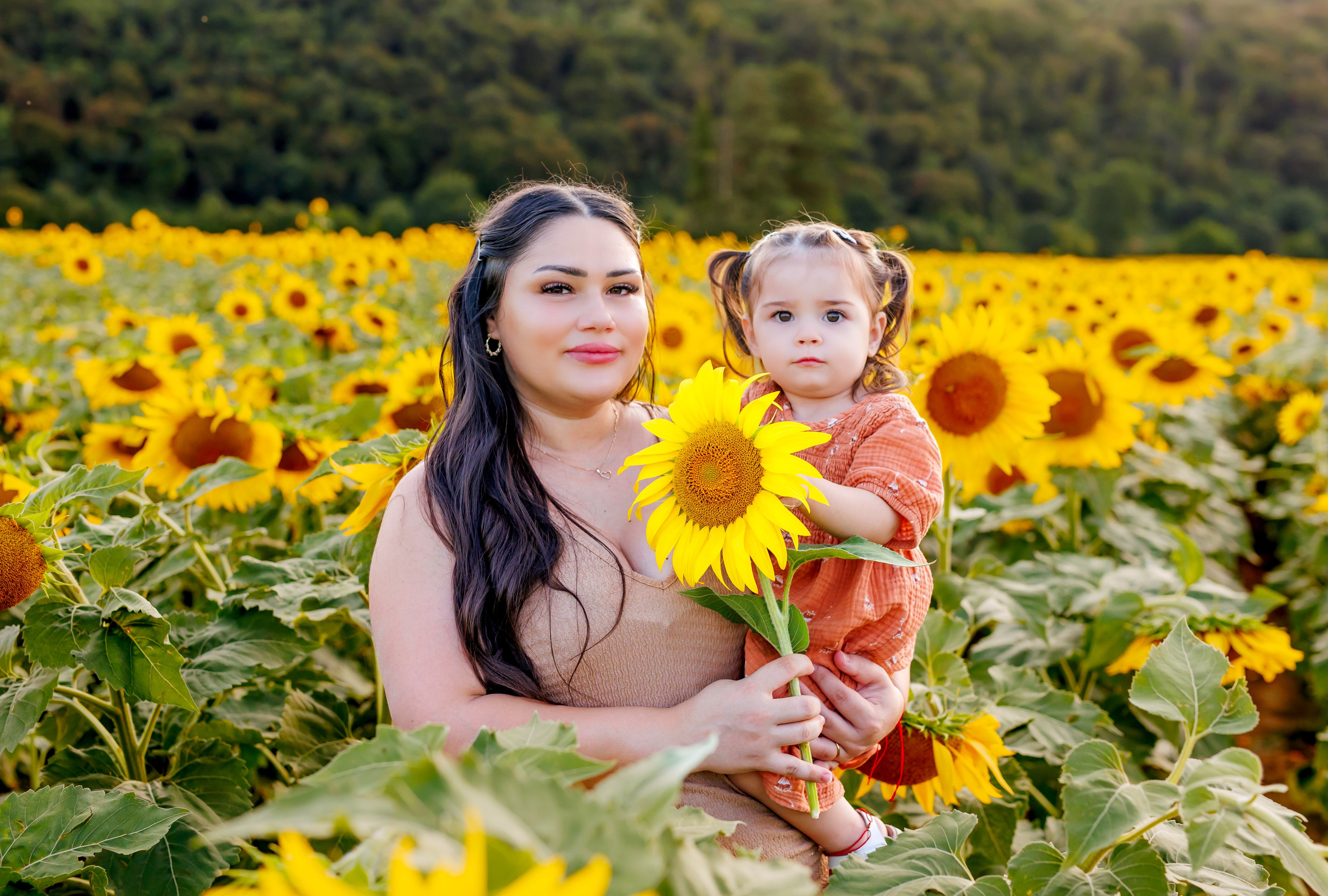 Un’estate tra i 🌻 girasoli- 2026. Luci e Capricci Photography