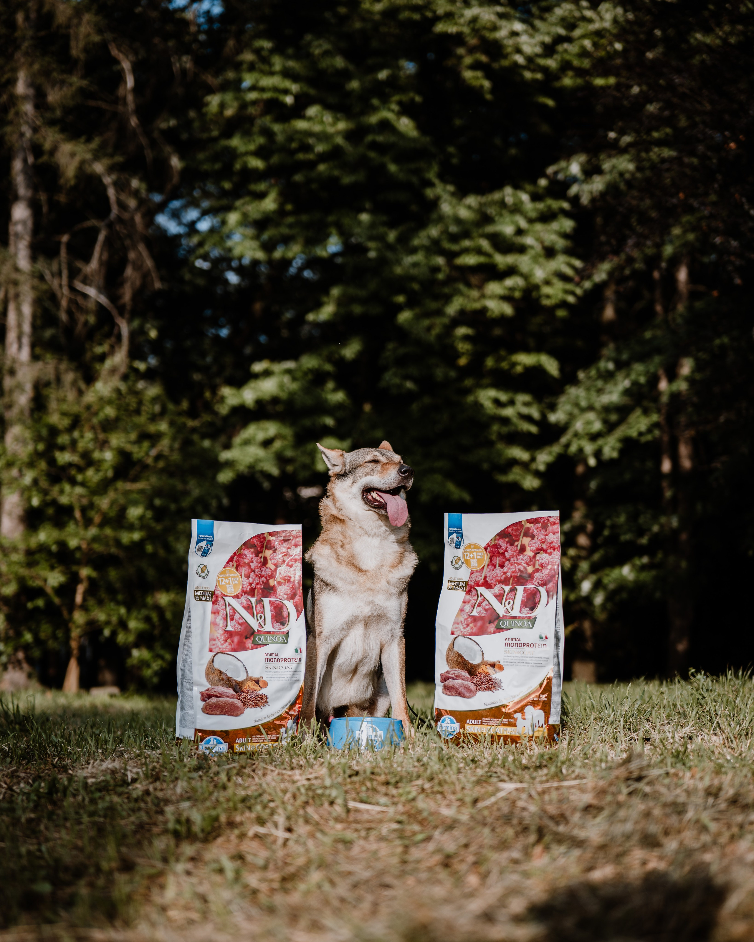 REEL FARMINA - Mâncare de câini