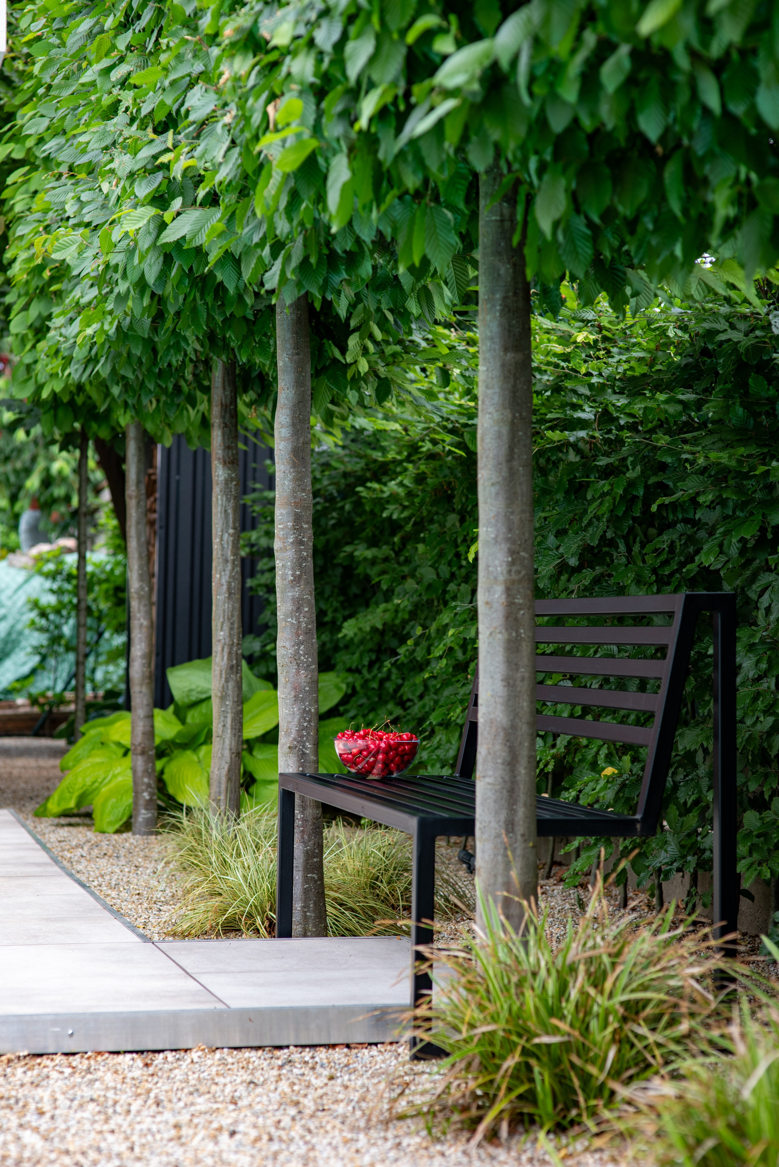 BEŽECKÁ 11. Photographer and videographer in Norway and Slovakia Andrea Zemko