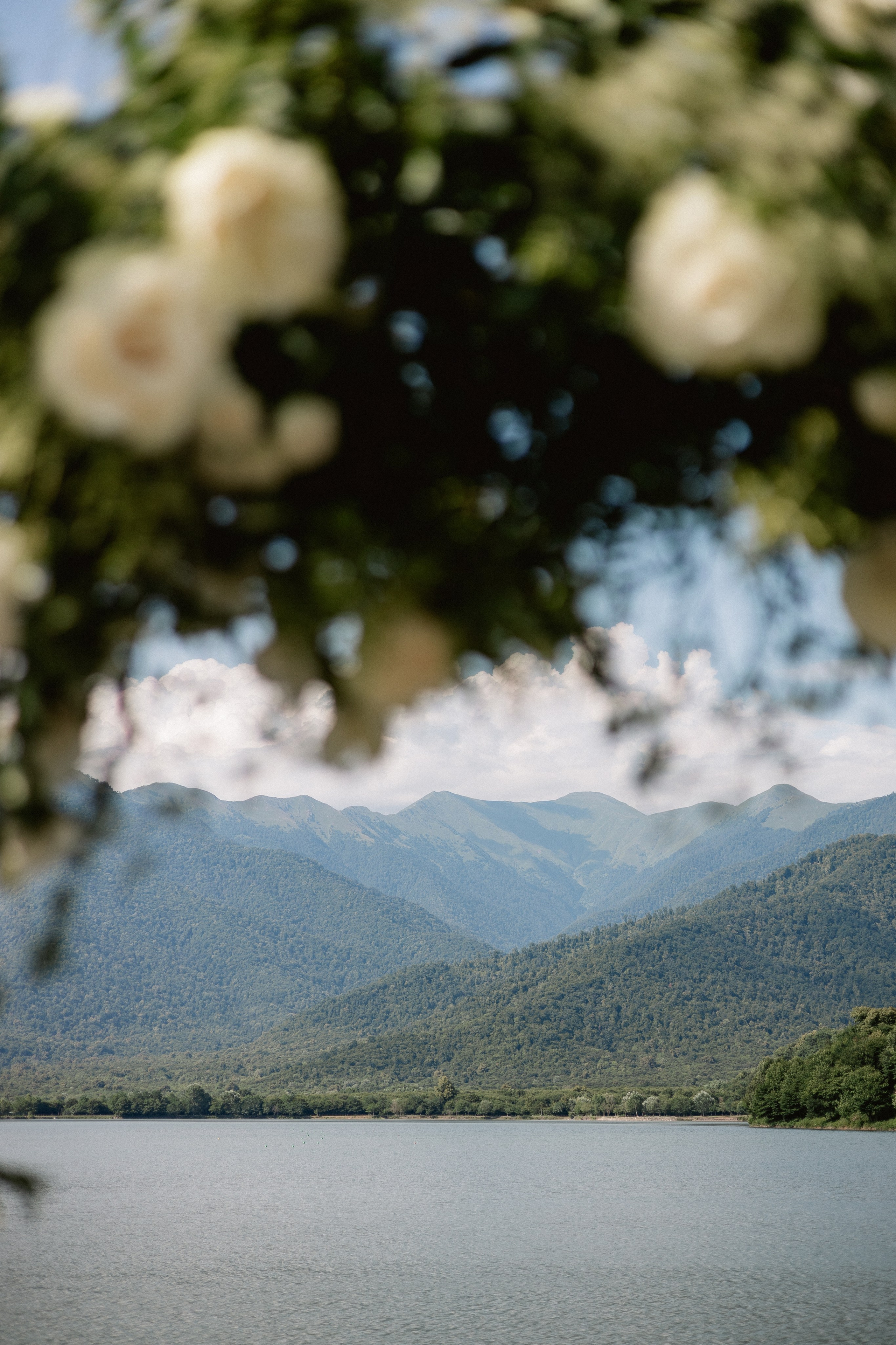 Thesakaya and Kevin. Photographer Anna Nazarenko