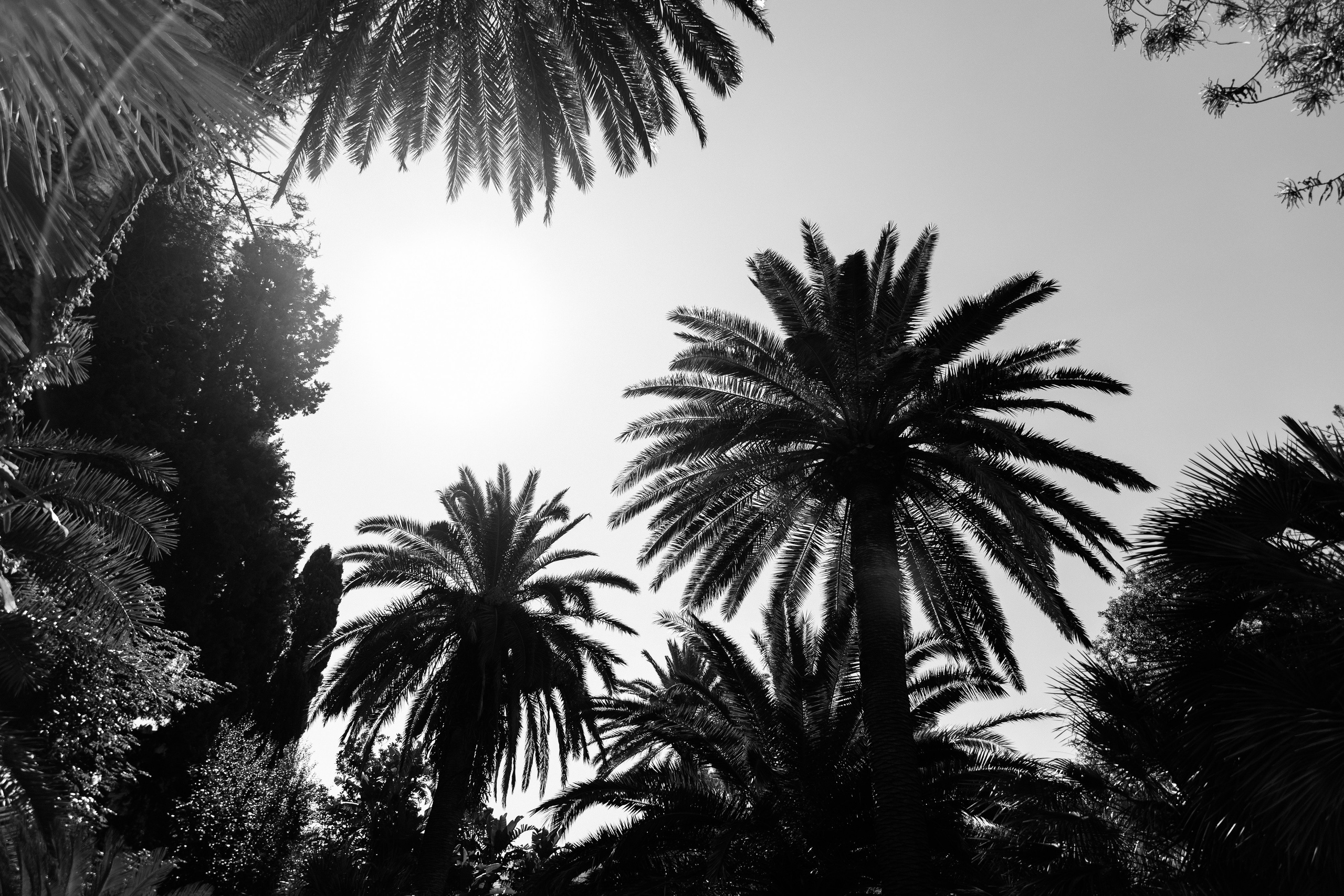 Wedding photographer Italy Rome, Tuscany, Lake Como, Sicily, Puglia. Wedding Photographer Rome Tuscany Como Sicily Puglia Amalfy Italy- Oksana Savenchuk