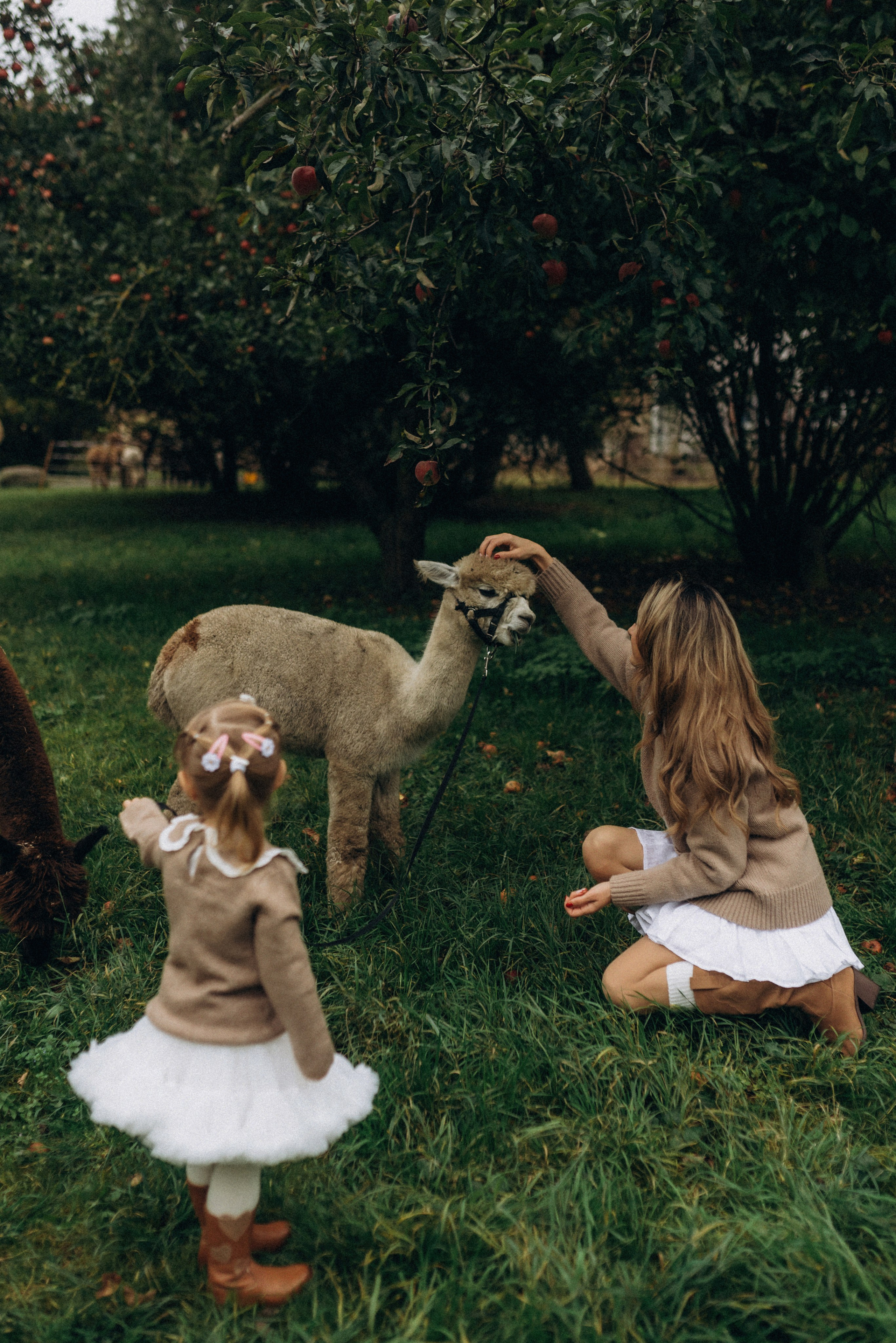 Семейная фотосессия с альпаками. Семейный фотограф Лейпциг, Германия