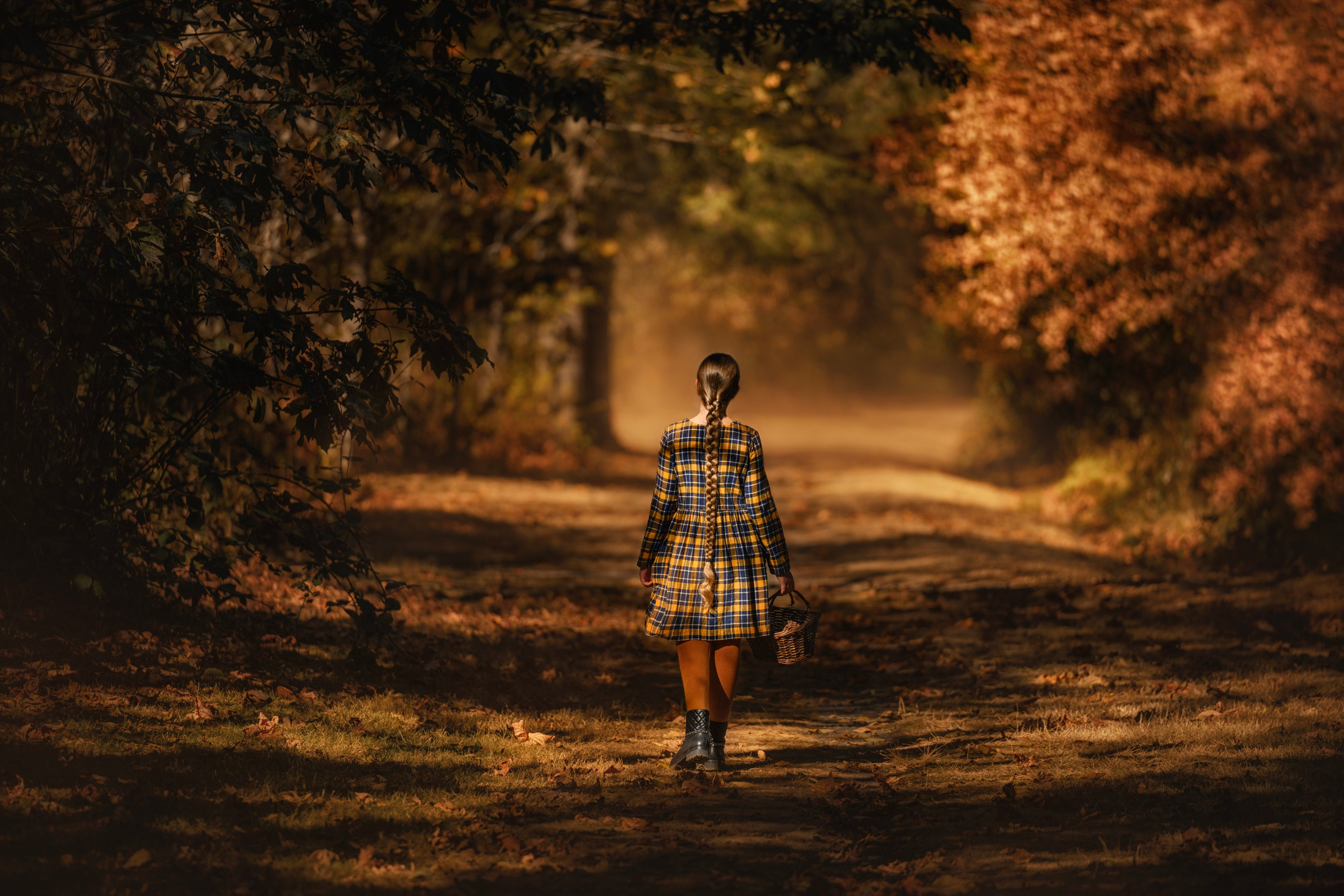 Caity in the autumn forest. Wedding & portrait photography in the Seattle Area. Helen Michelle photographer