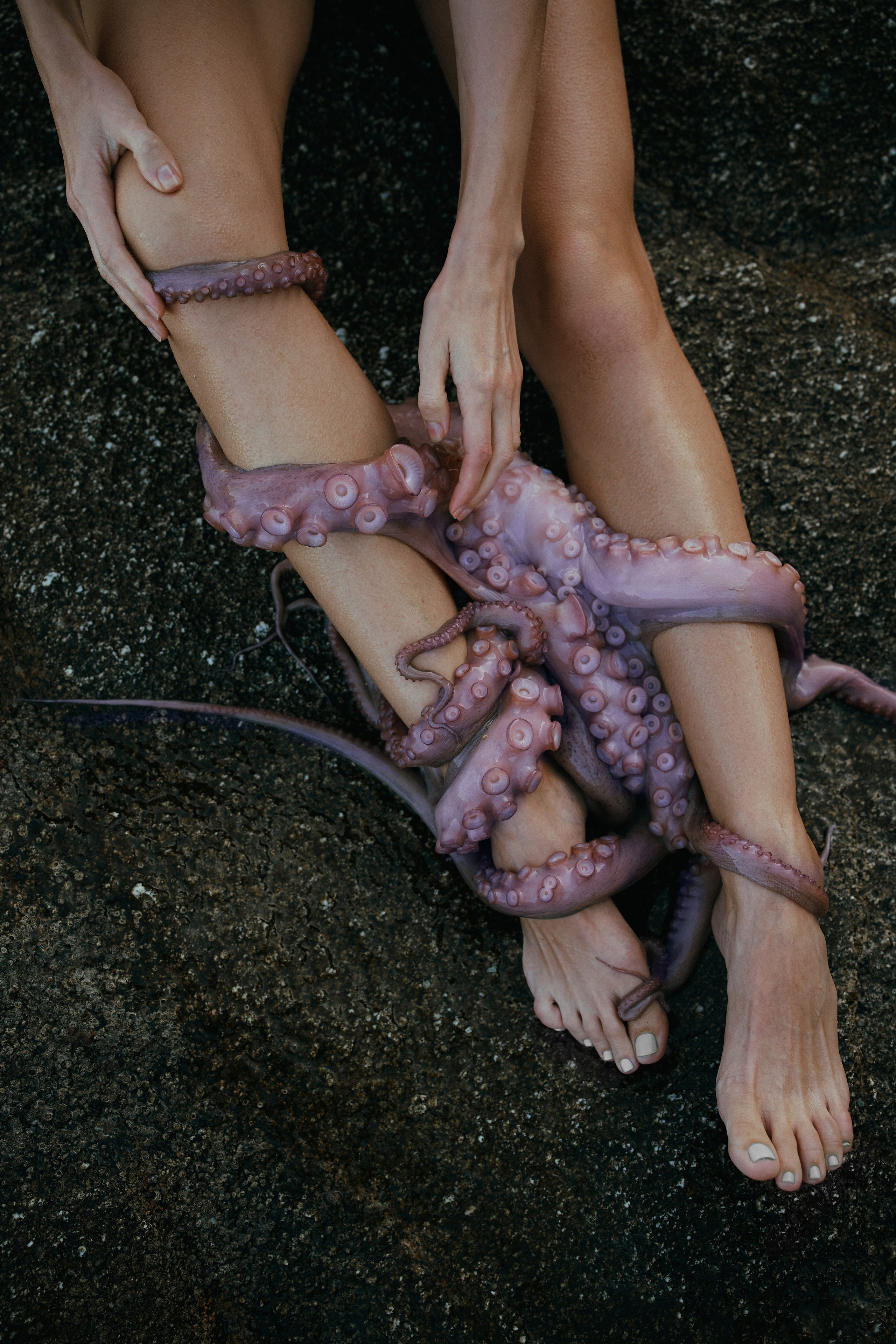 Pulpo. Фотограф в Барселоне Жанна Захарченко