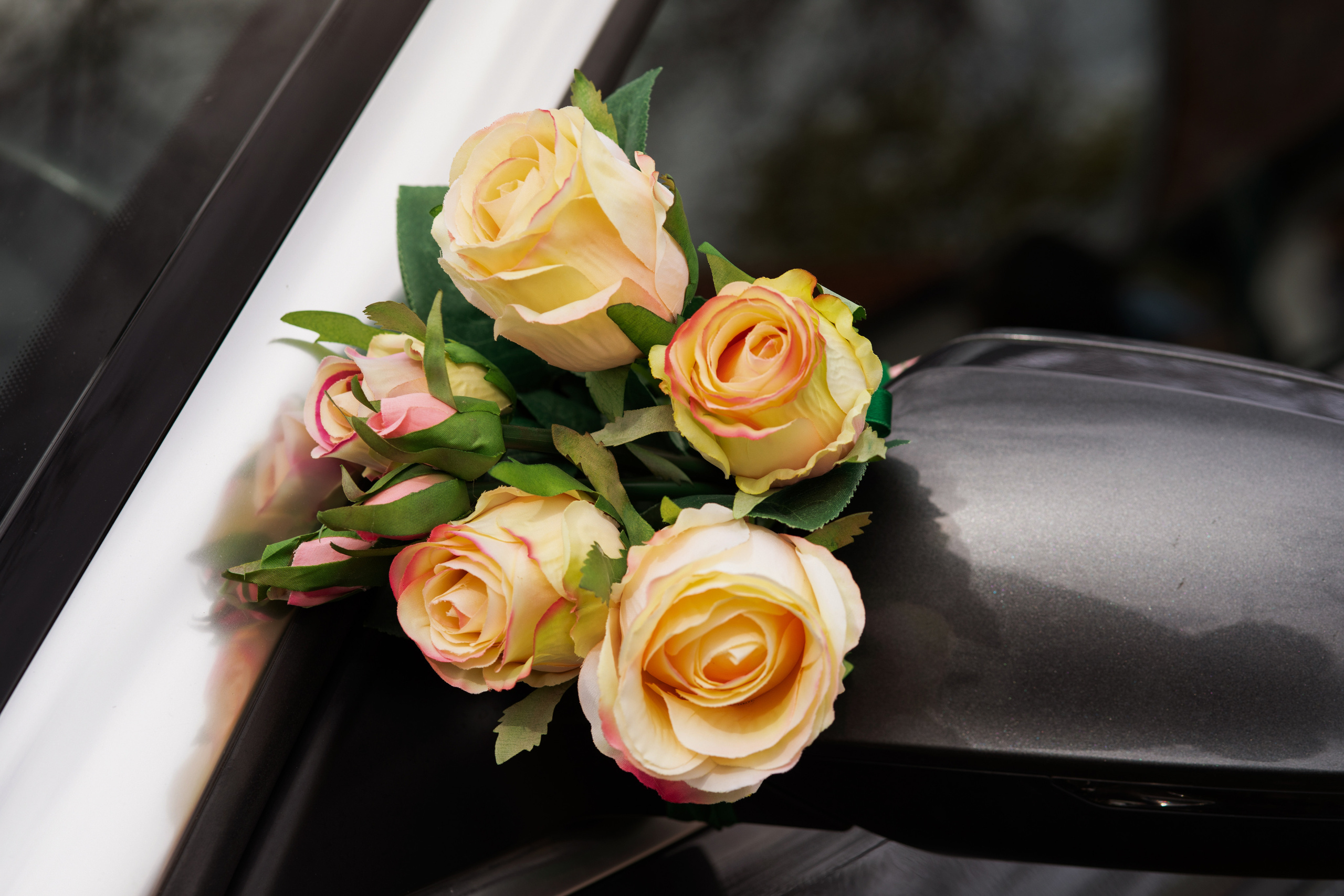 Anna & Michael, Spelle. Fotografin und Videografin im Raum Osnabrück und Emsland Alla