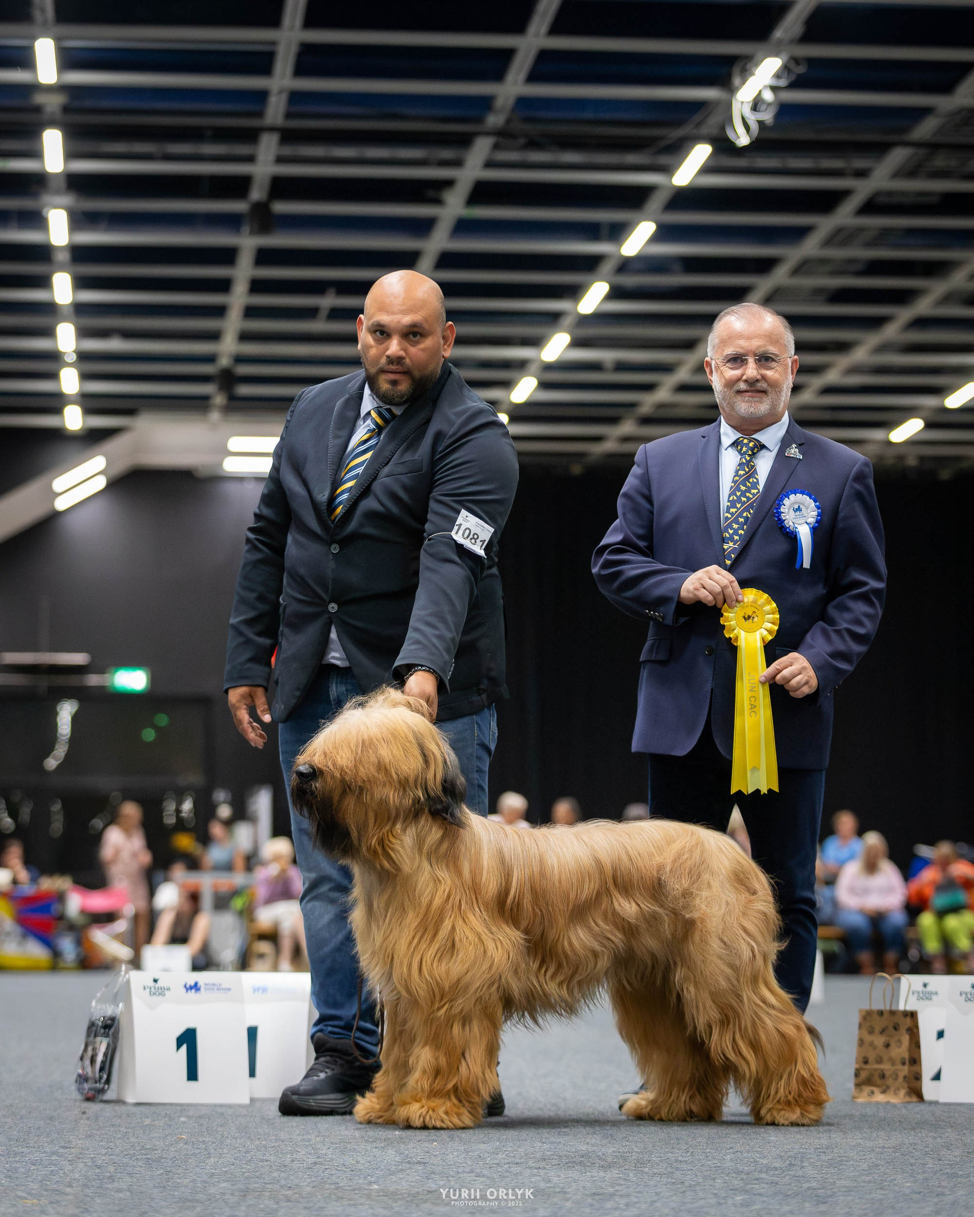 Dog Shows. Yurii Orlyk Photography