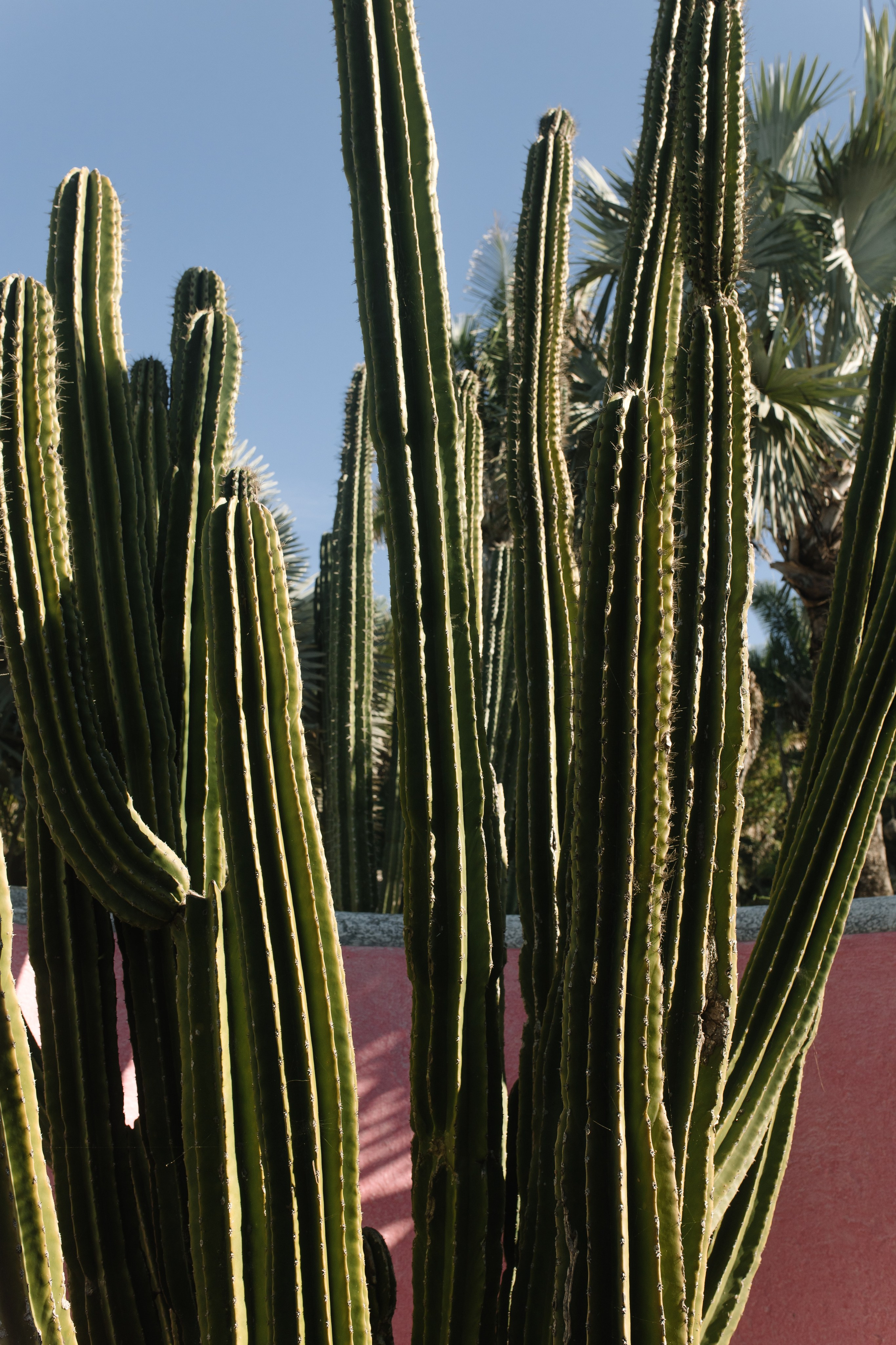 Tietire Estate. Wedding photographer Mexico Sayulita Puerto Vallarta Punta Mita Cabo