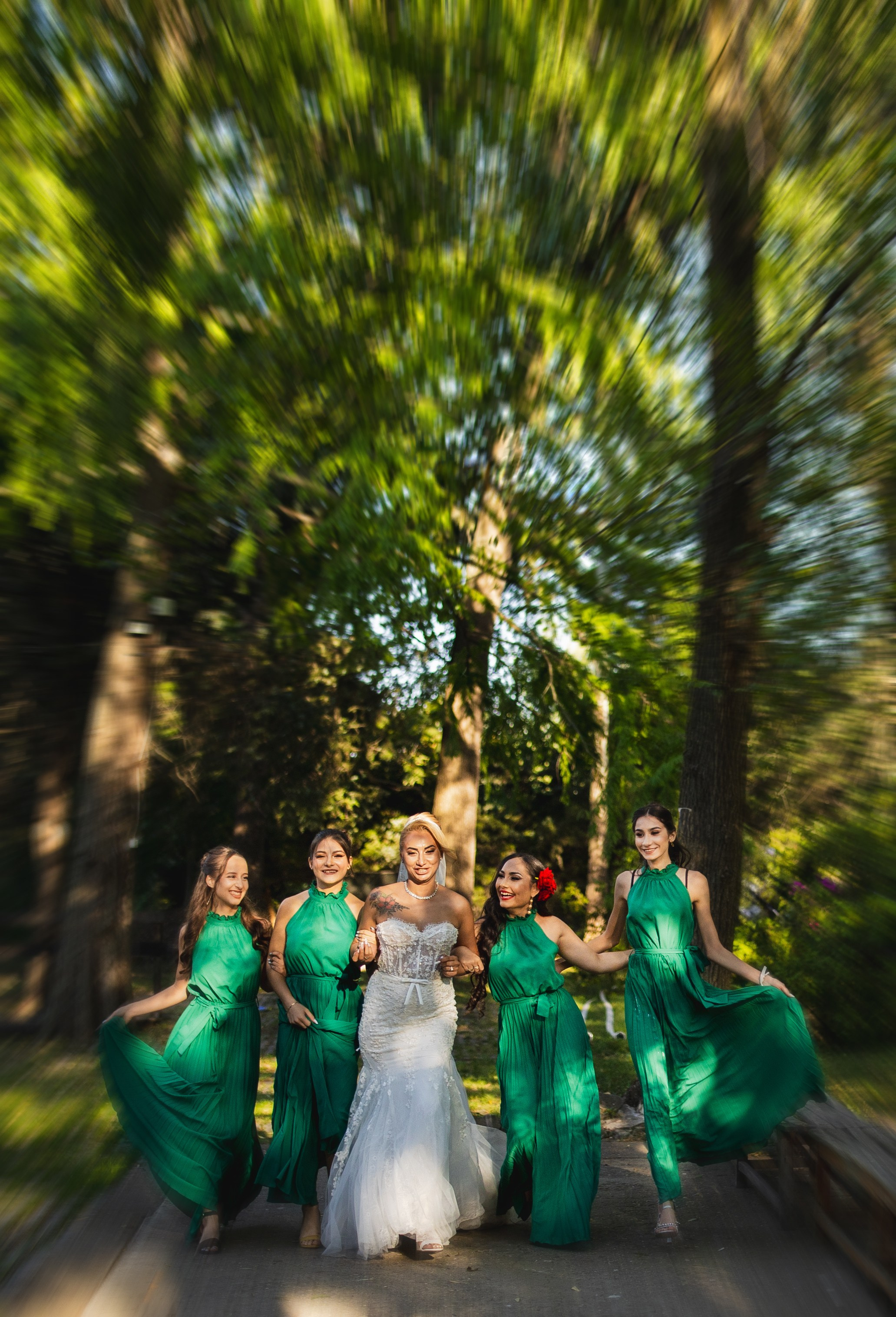 Portofoliu Fotograf Nunta Tulcea — Selectii | Codux. Codux — Fotograf Tulcea | Fotograf Evenimente