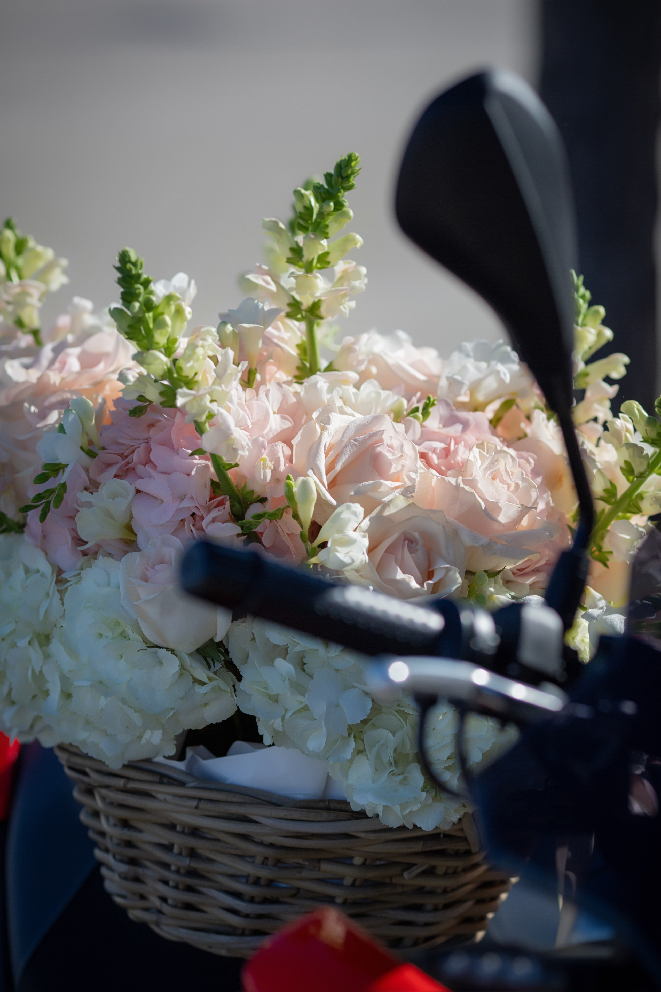 Photographie publicitaire. Photographe et photothérapeute à Nice et sur la Côte d’Azur — Katherine Grape