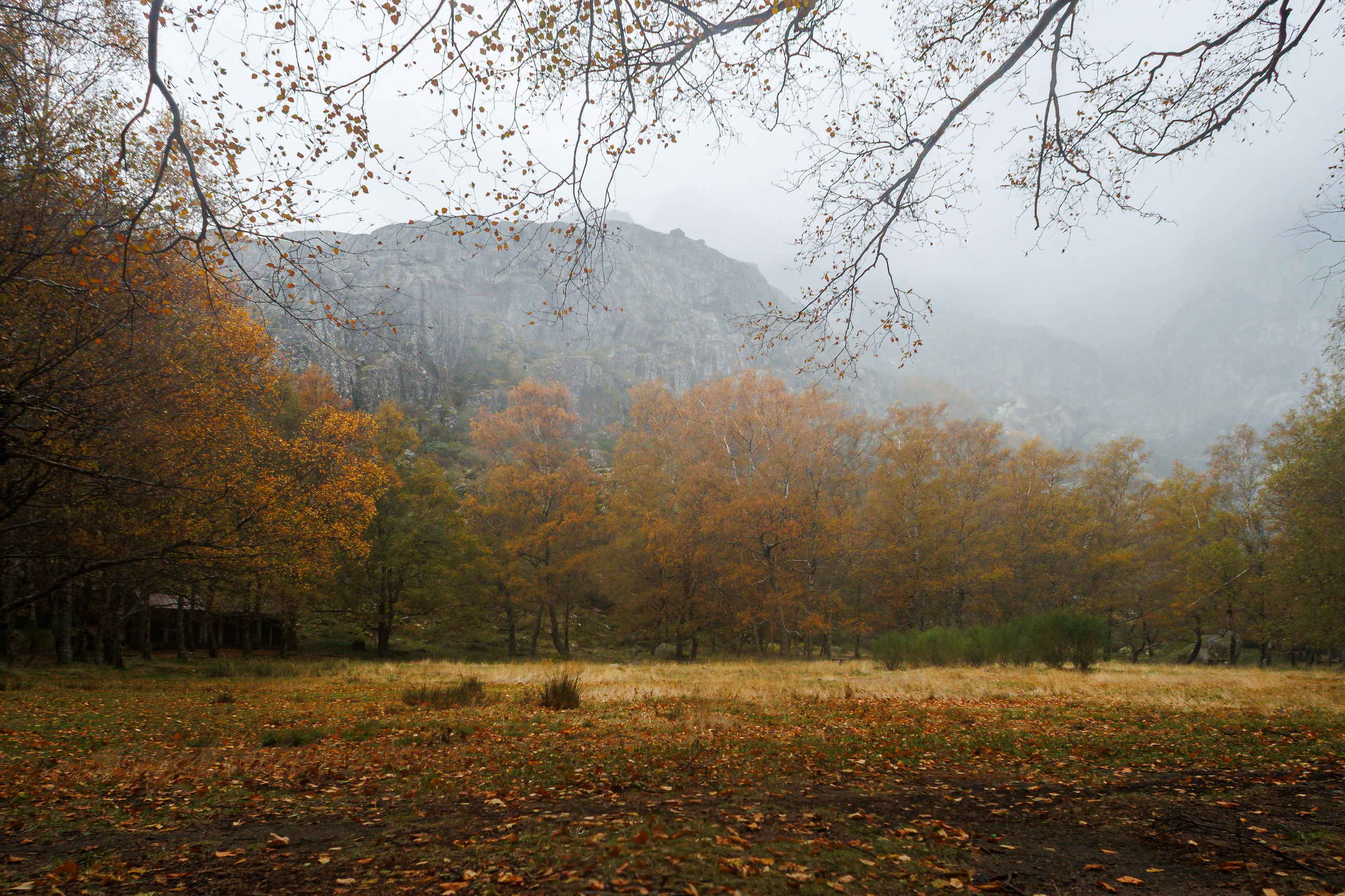 Fotografia de Natureza – Portfólio | Paulo Marques Photography. Paulo Marques Photography