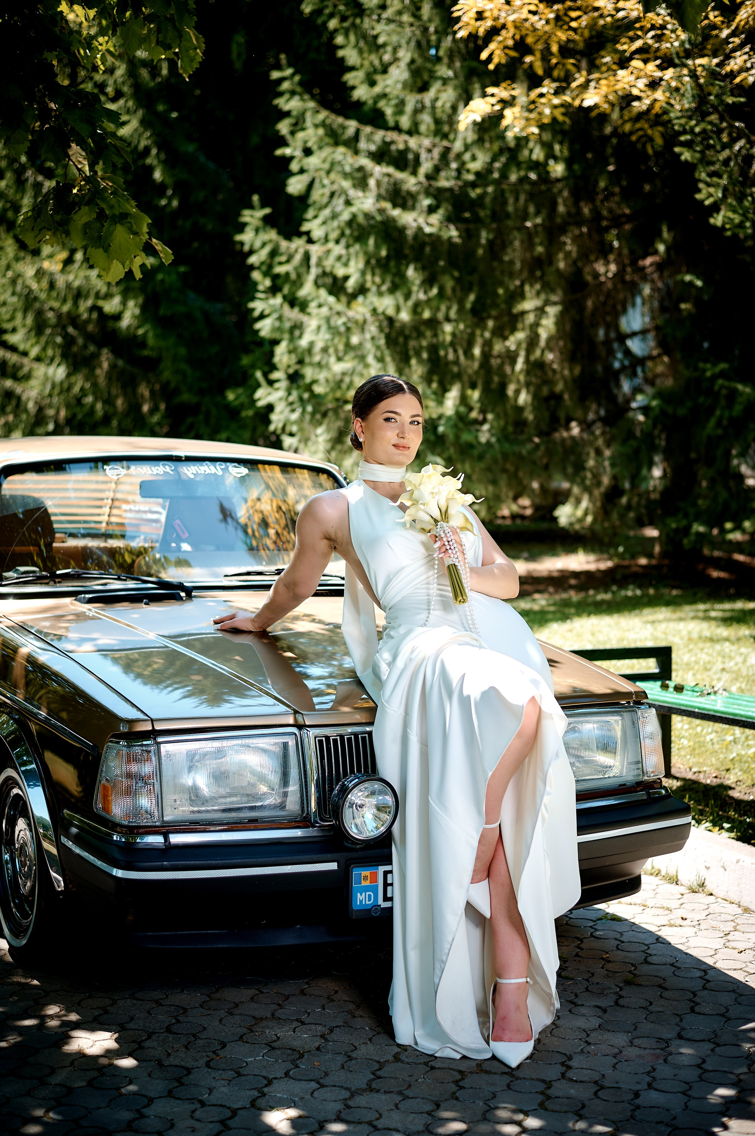 Nicolae & Ilinca. Excellens